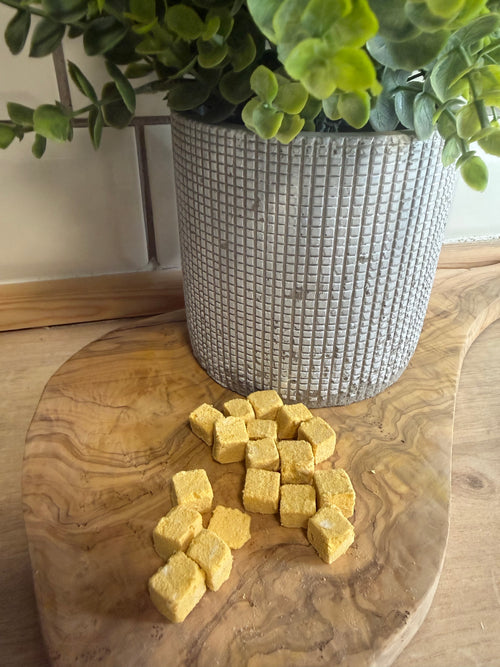 Freeze dried chicken and pumpkin cubes