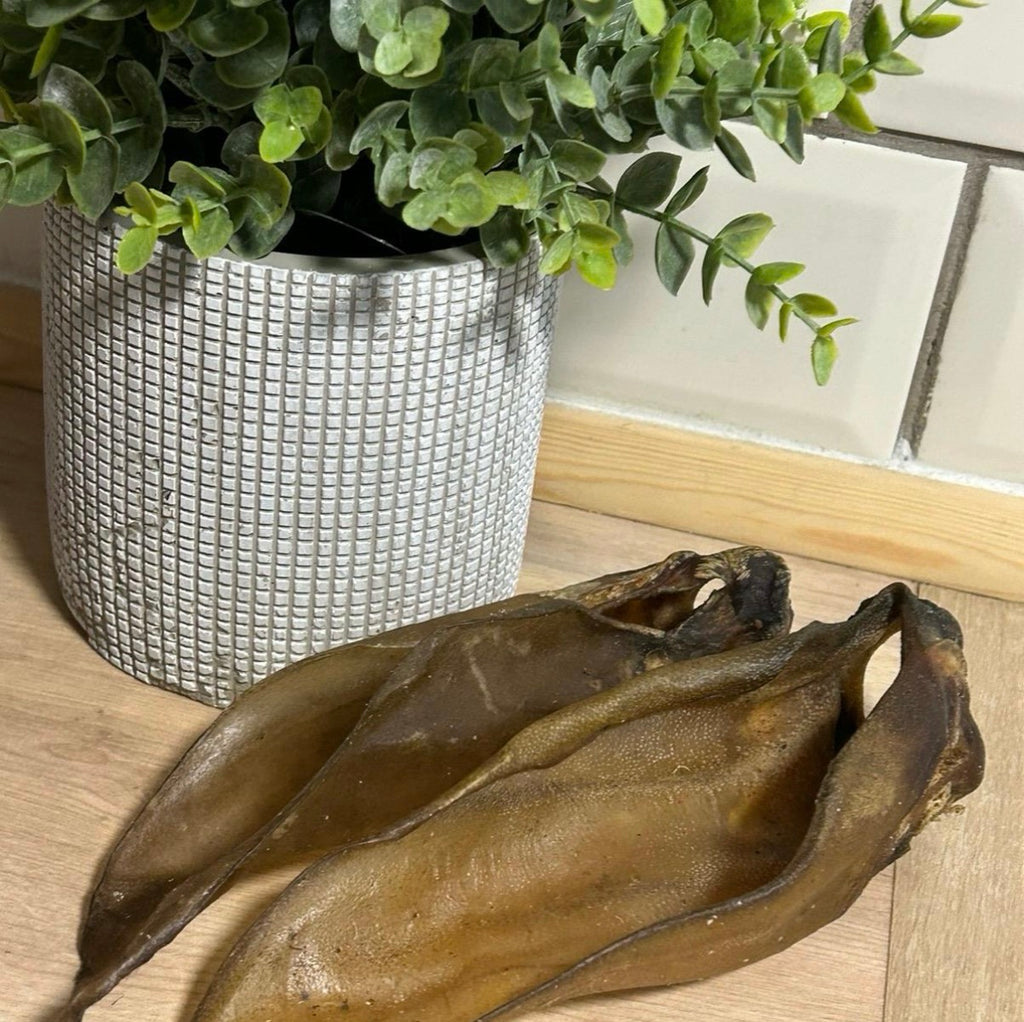 Buffalo ear
