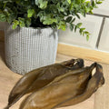 Buffalo ear