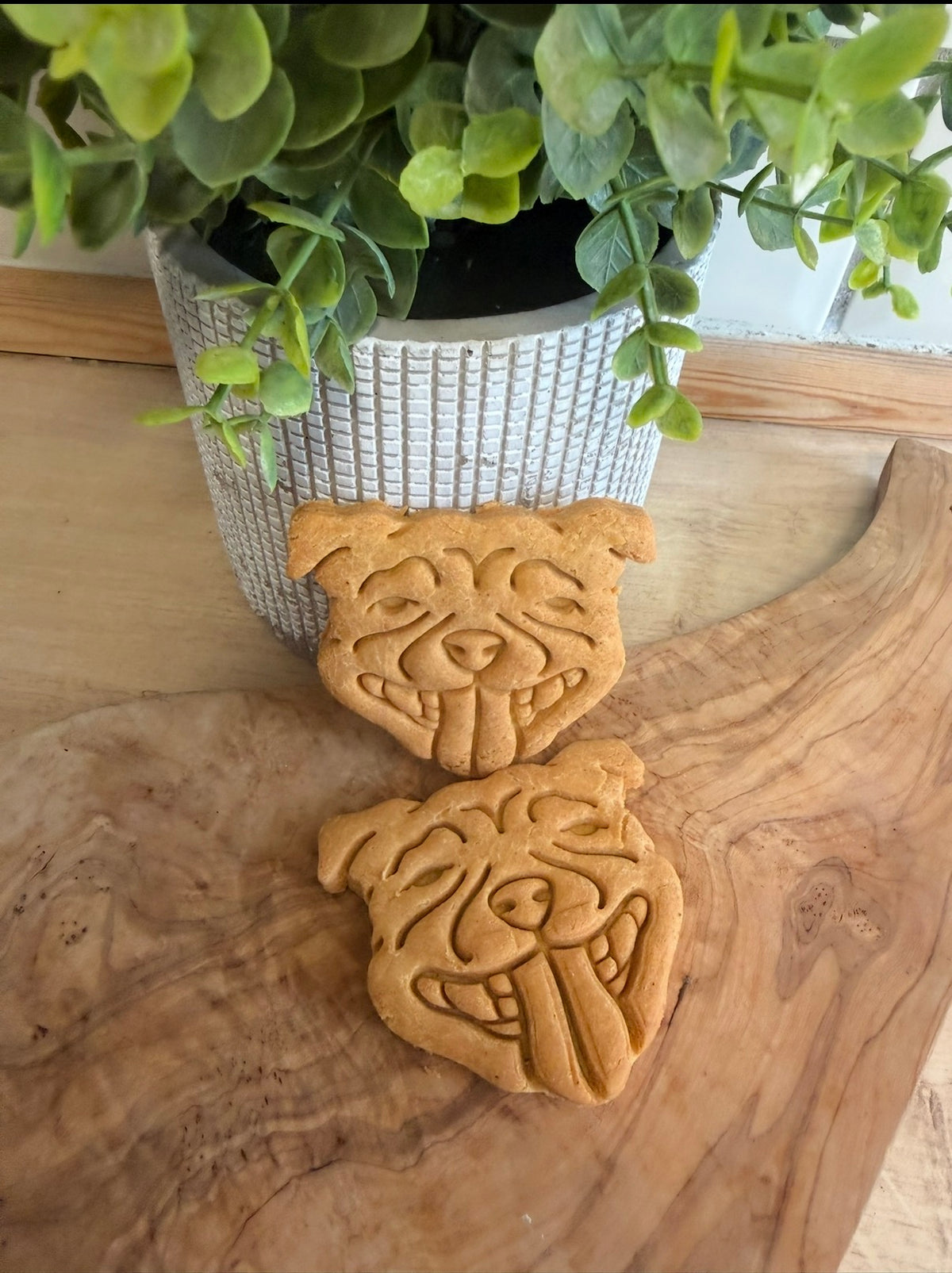 Staffie biscuits