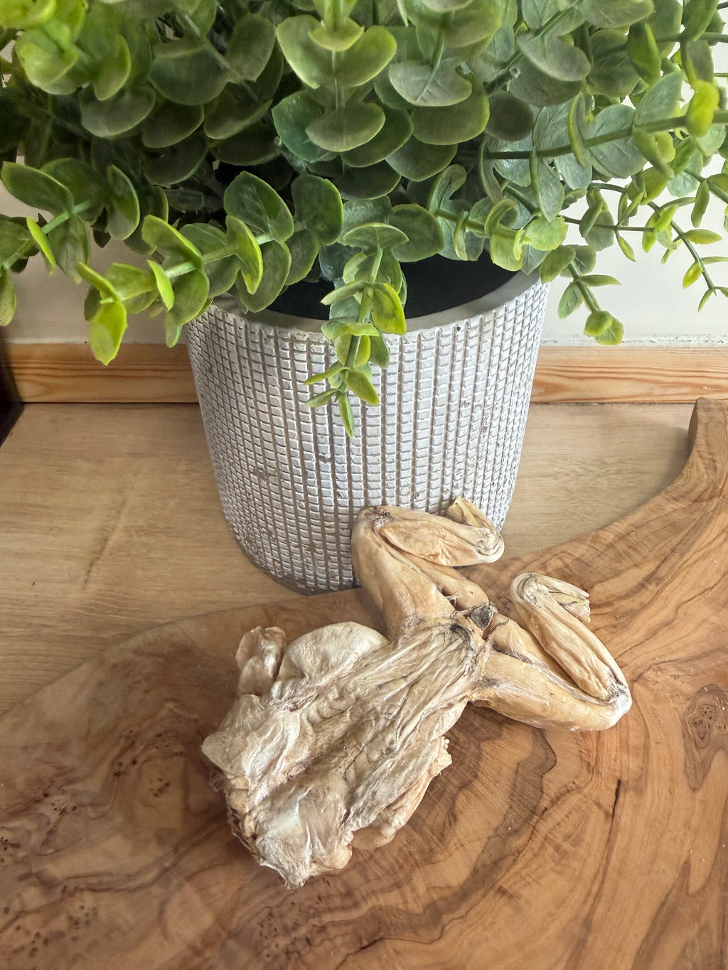 Freeze dried bull frog