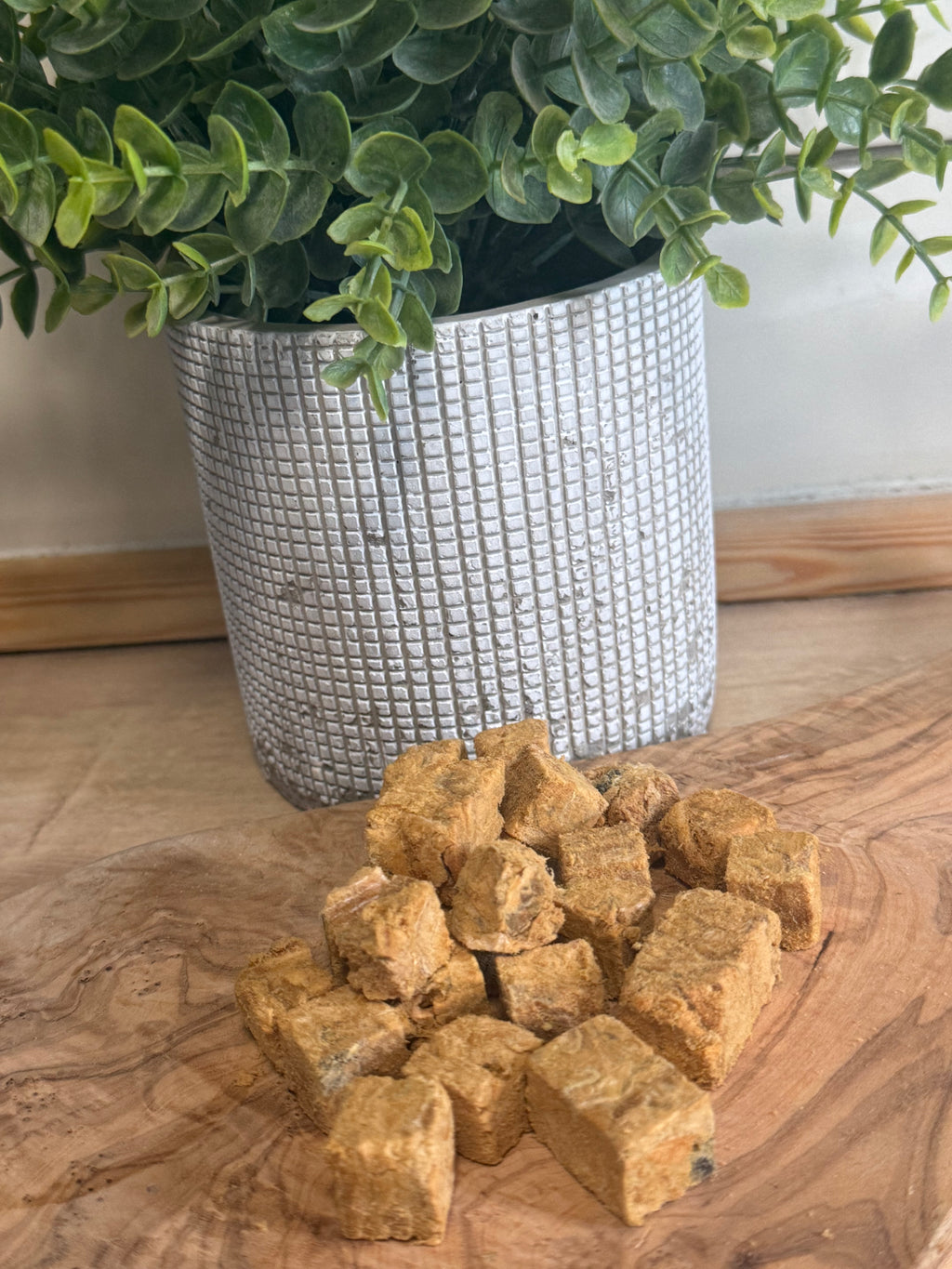 Freeze dried salmon cubes