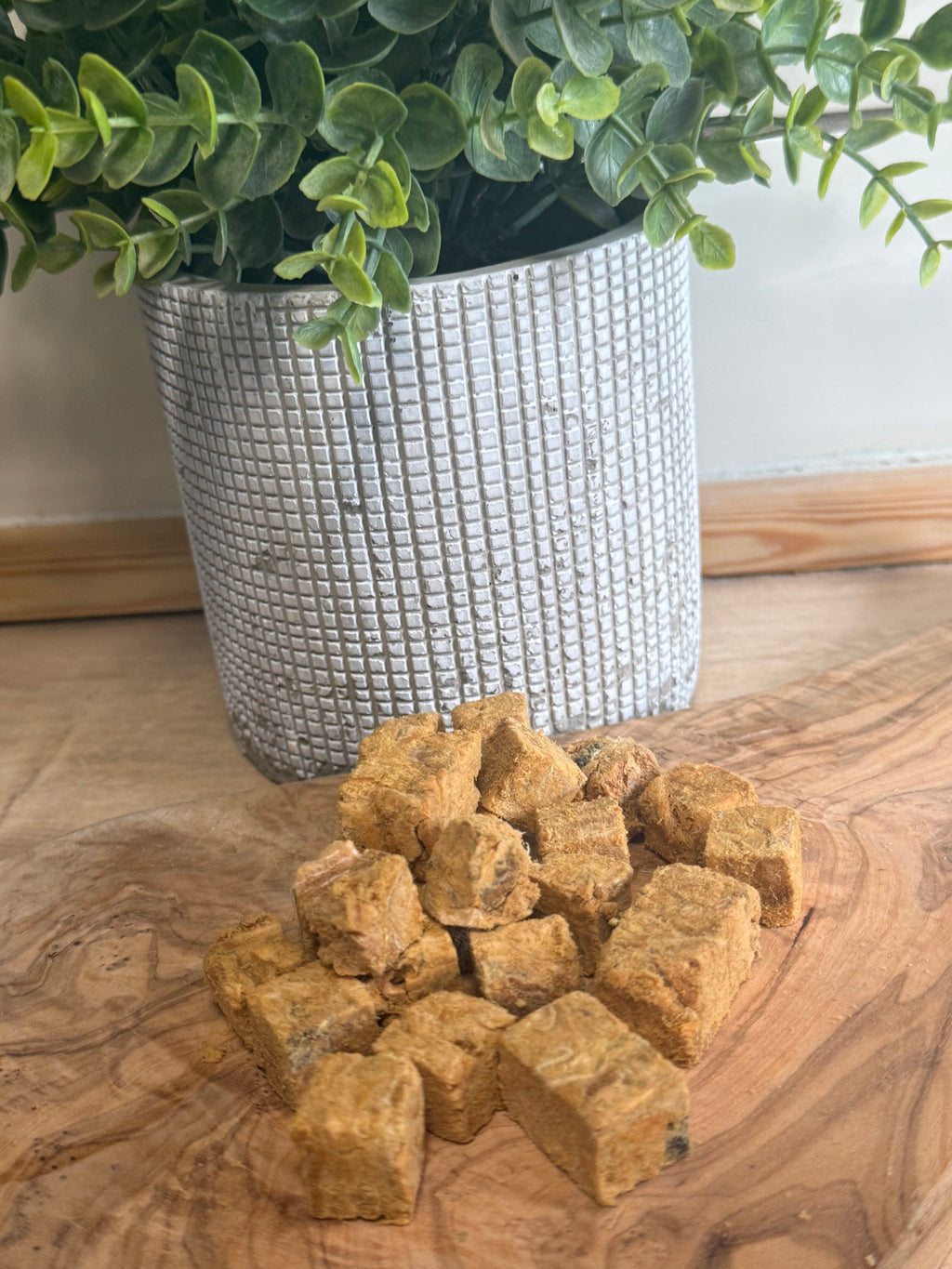 Freeze dried salmon cubes