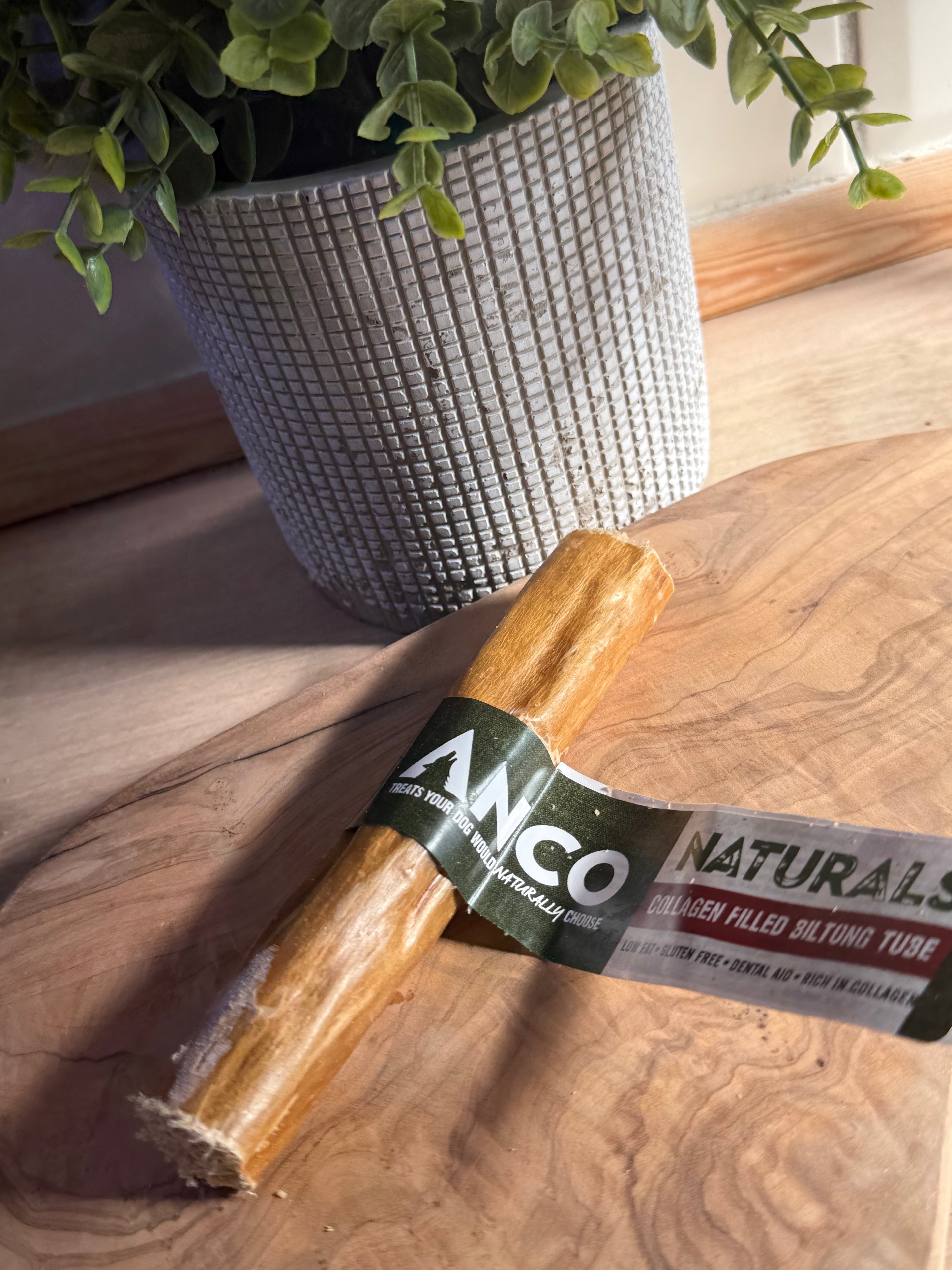 Anco collagen tube