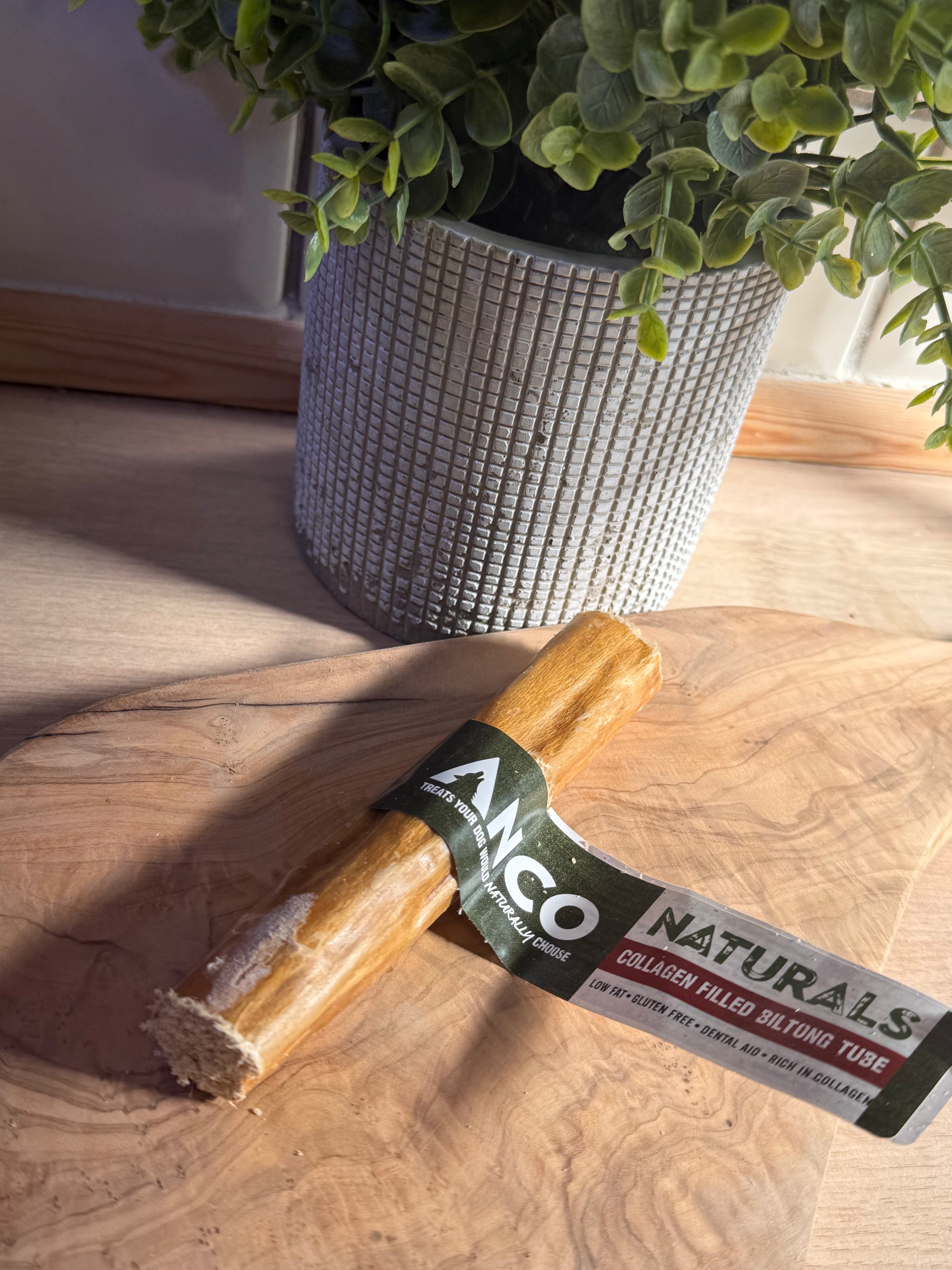 Anco collagen tube