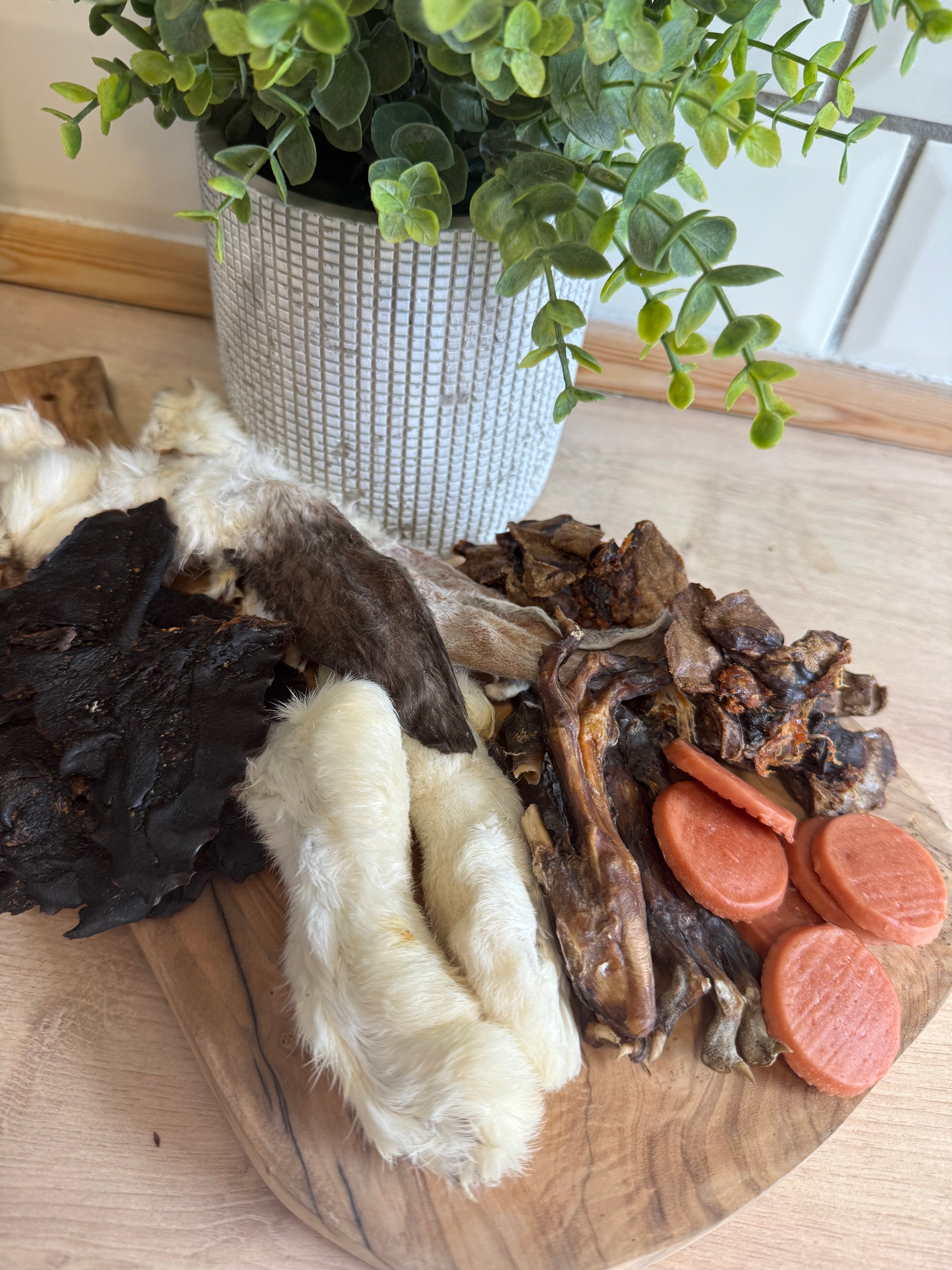 Rabbit bundle