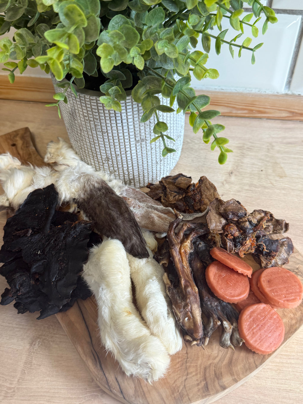 Rabbit bundle