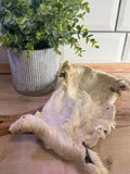 Beef bark