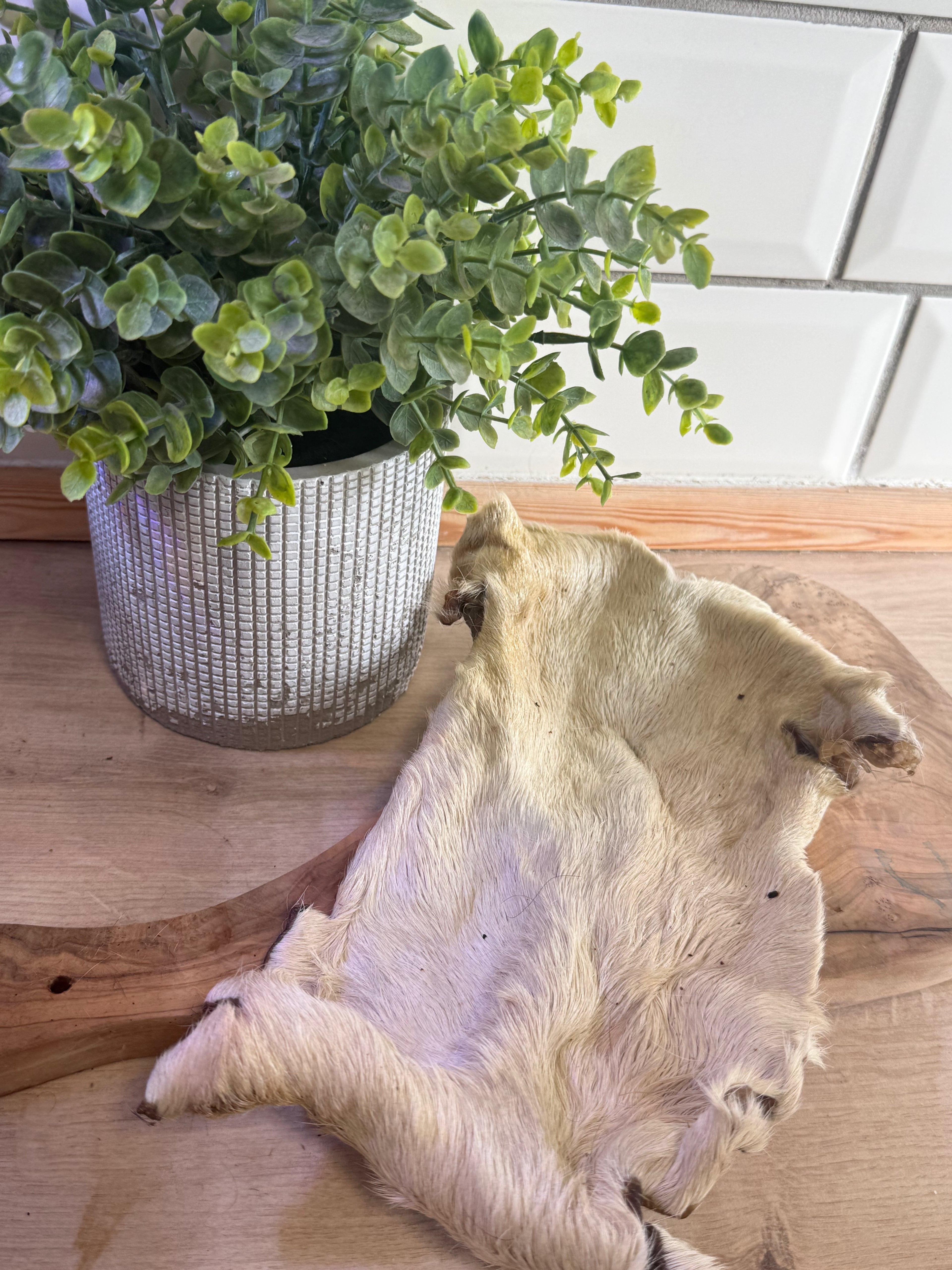 Beef bark