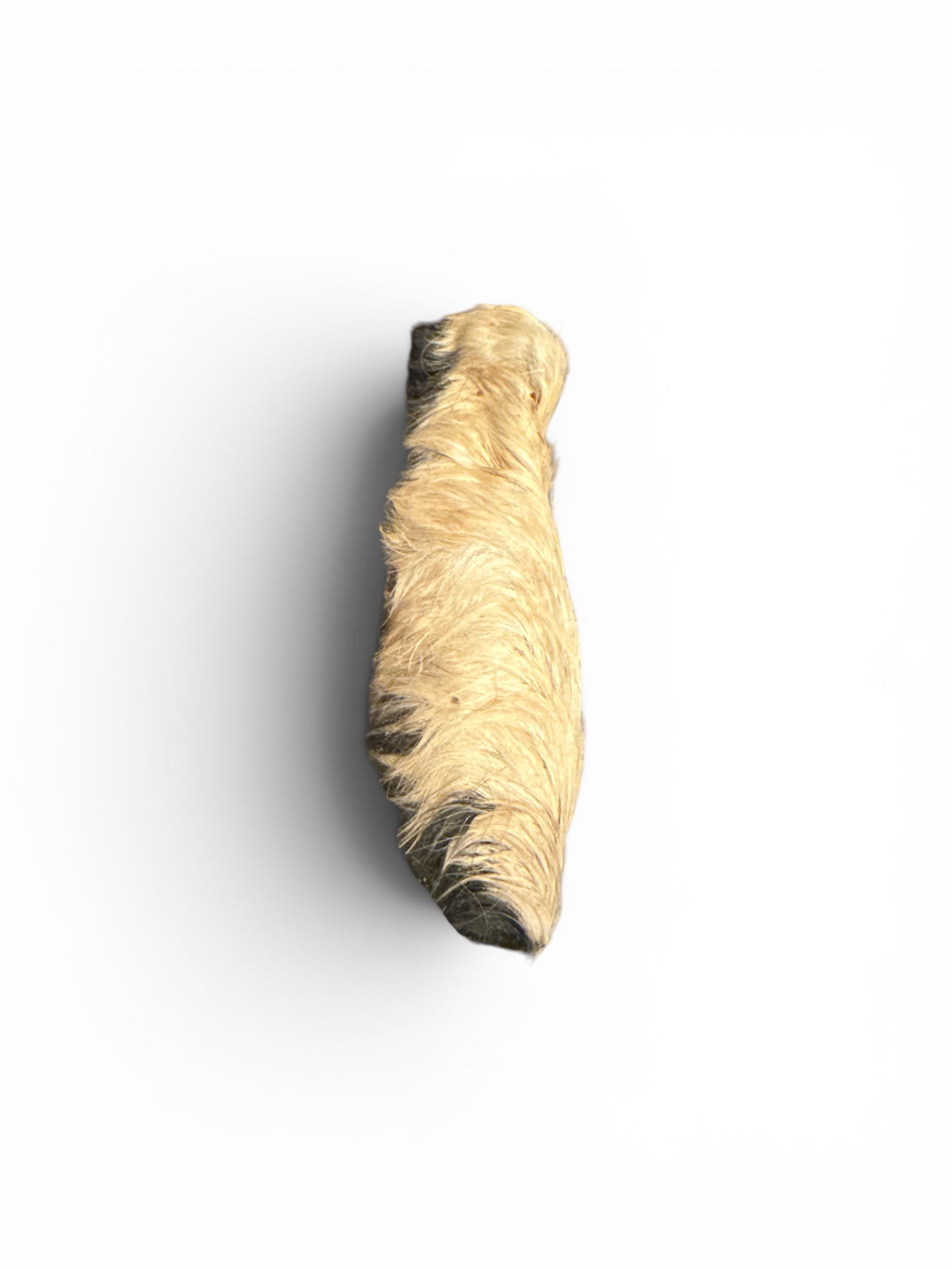Beef skin