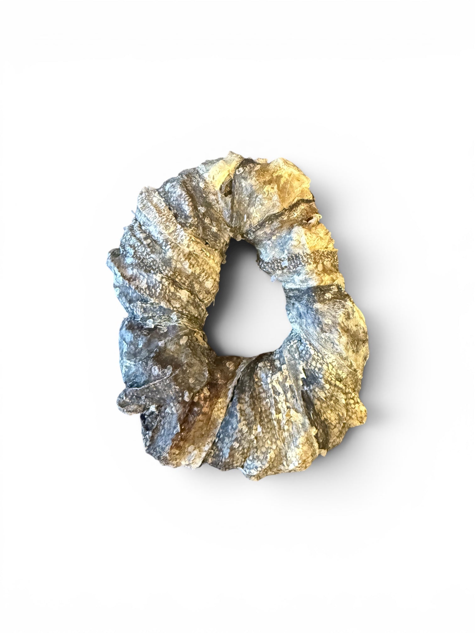 Cod rings