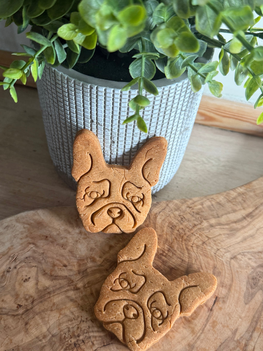 Pack of two Frenchie biscuits