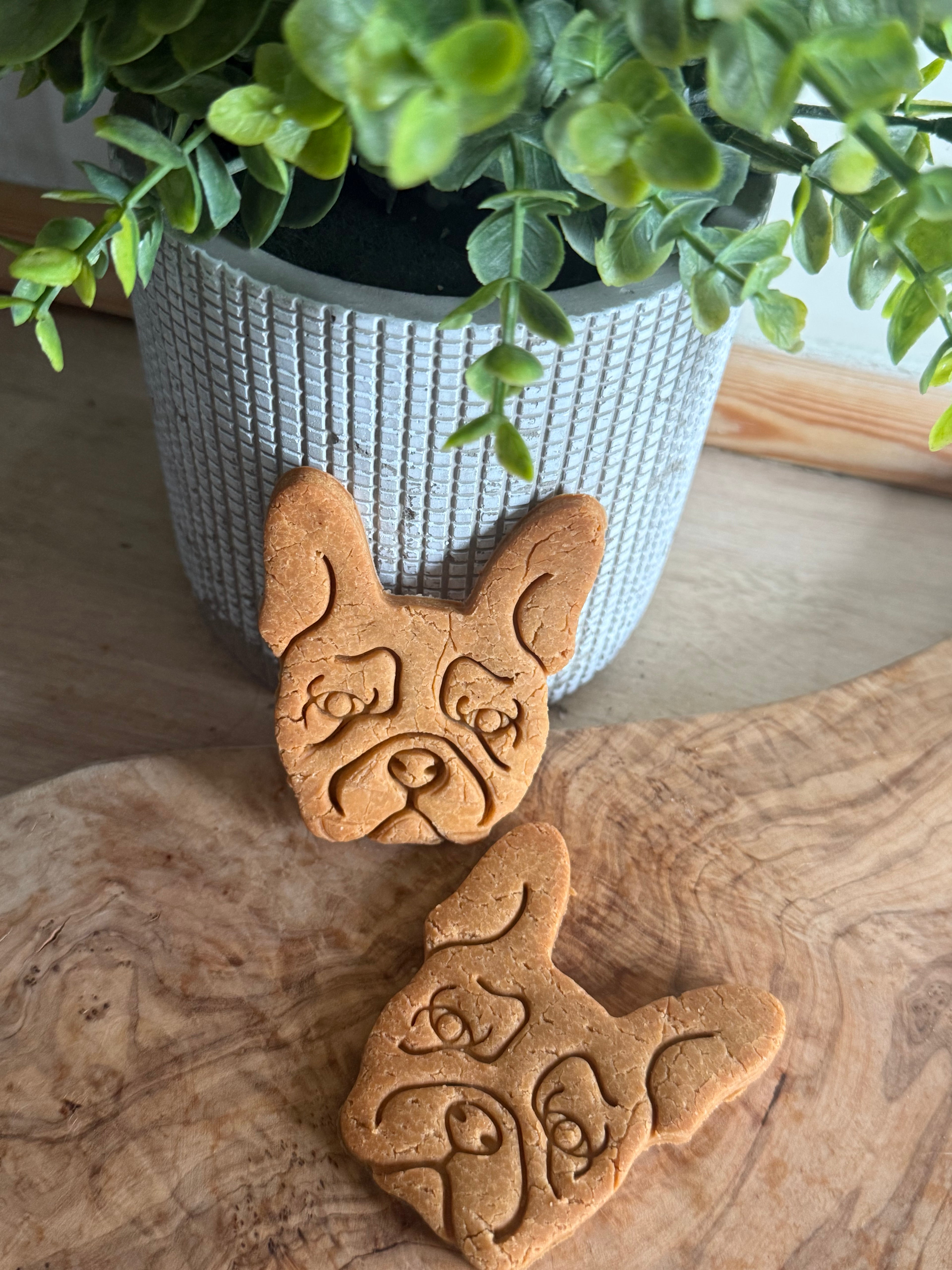 Pack of two Frenchie biscuits