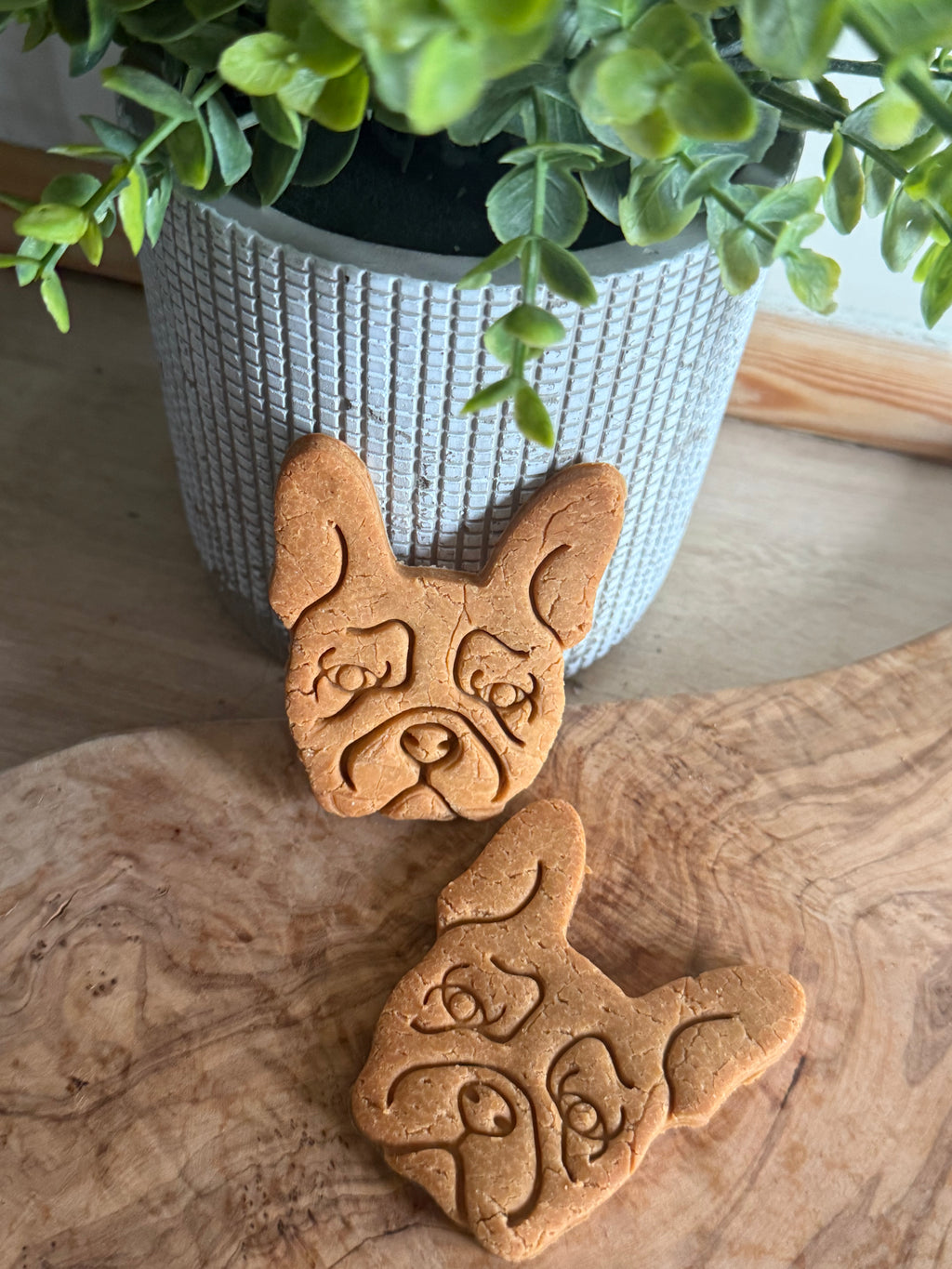 Pack of two Frenchie biscuits
