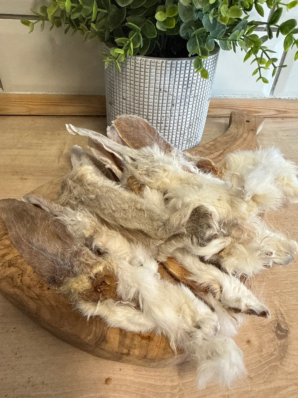 10 rabbit ears