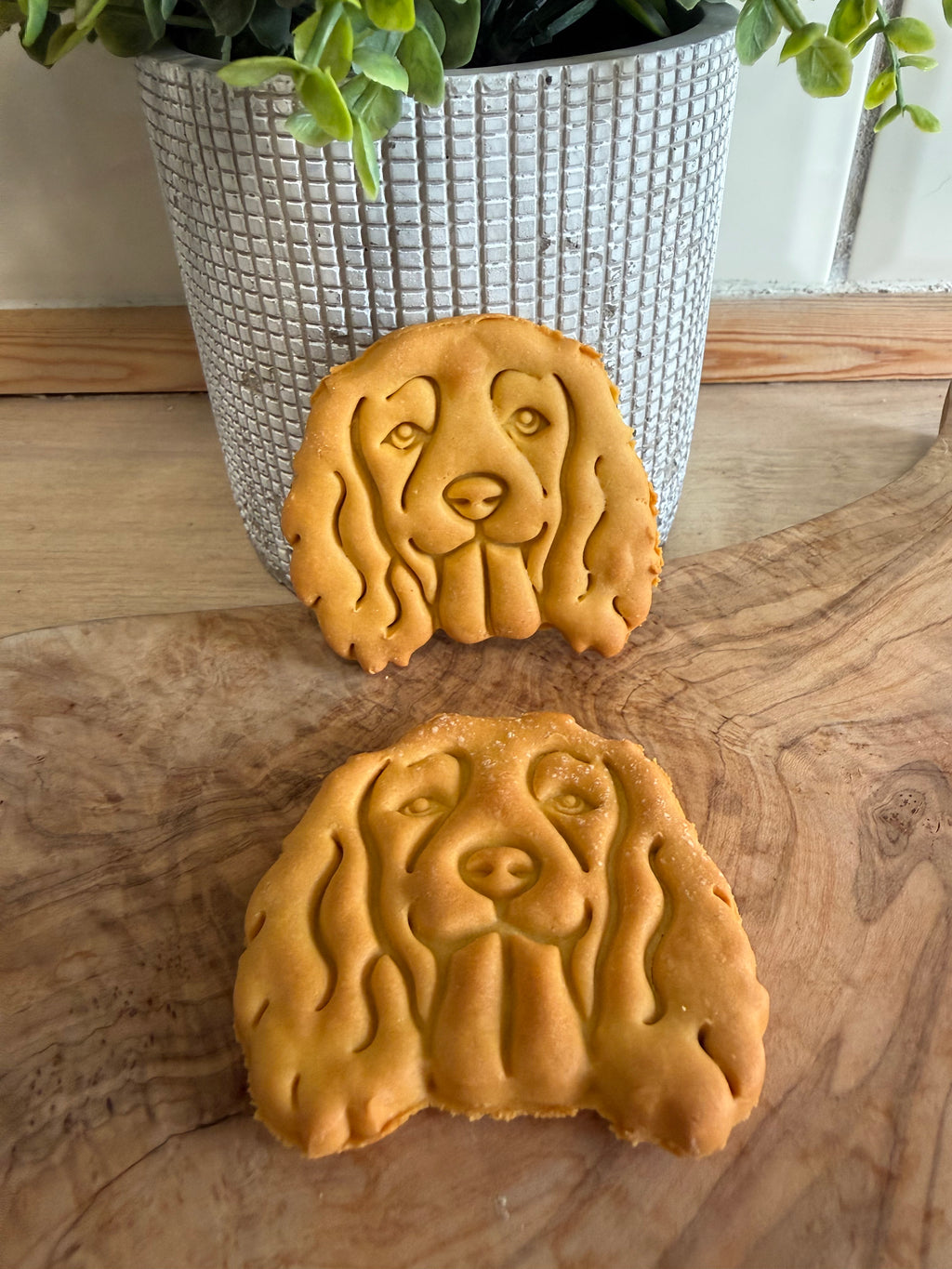 Spaniel sweet potato biscuits