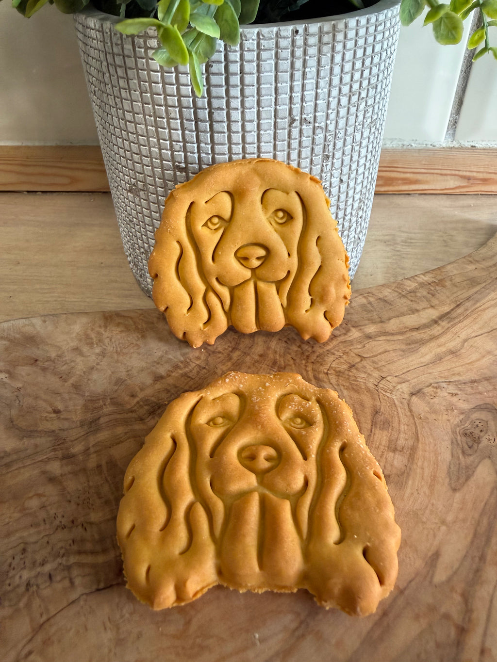 Spaniel sweet potato biscuits