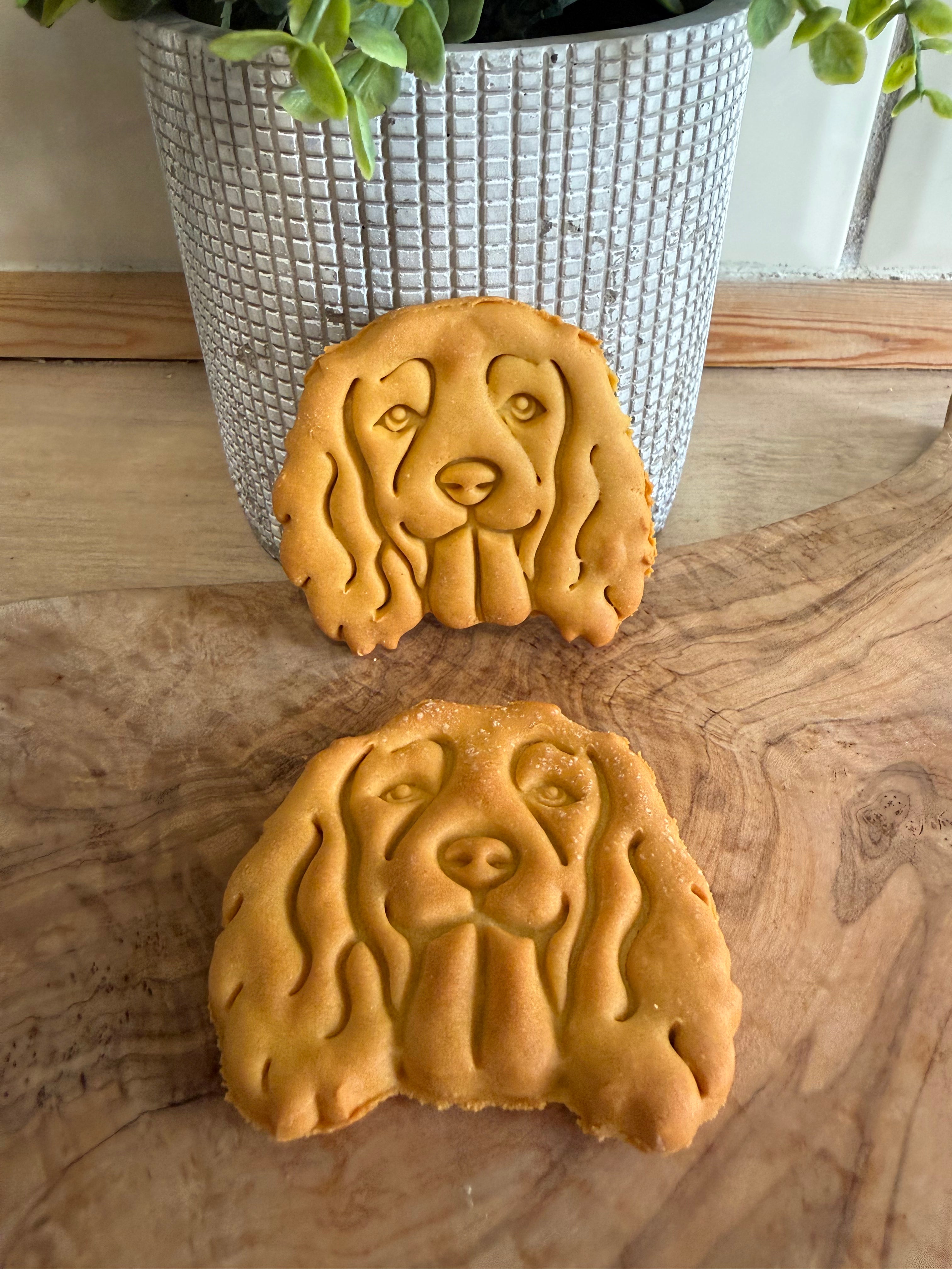 Spaniel sweet potato biscuits