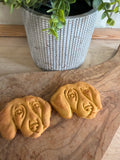 Dachshund sweet potato biscuits