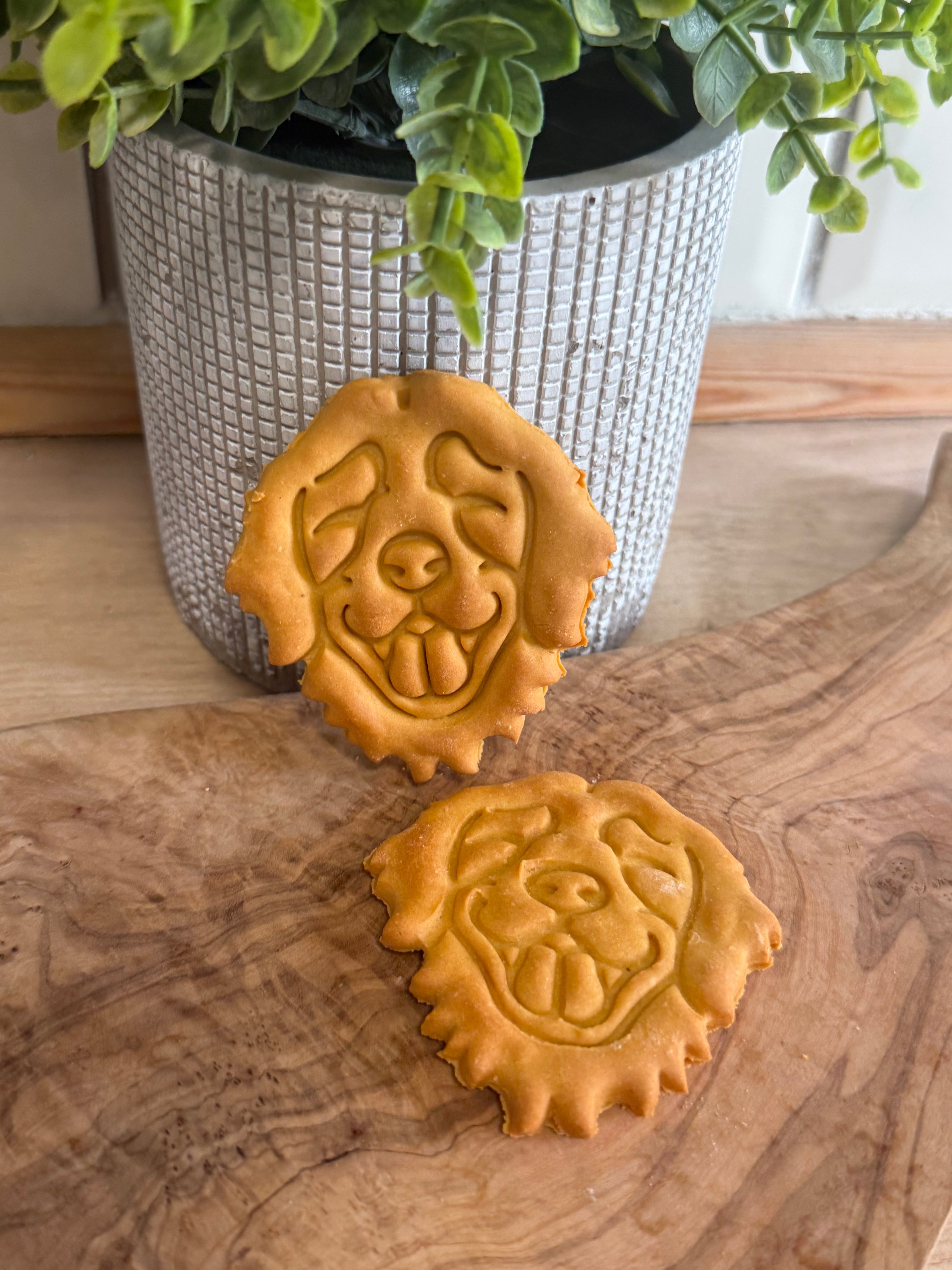 Golden retriever biscuits