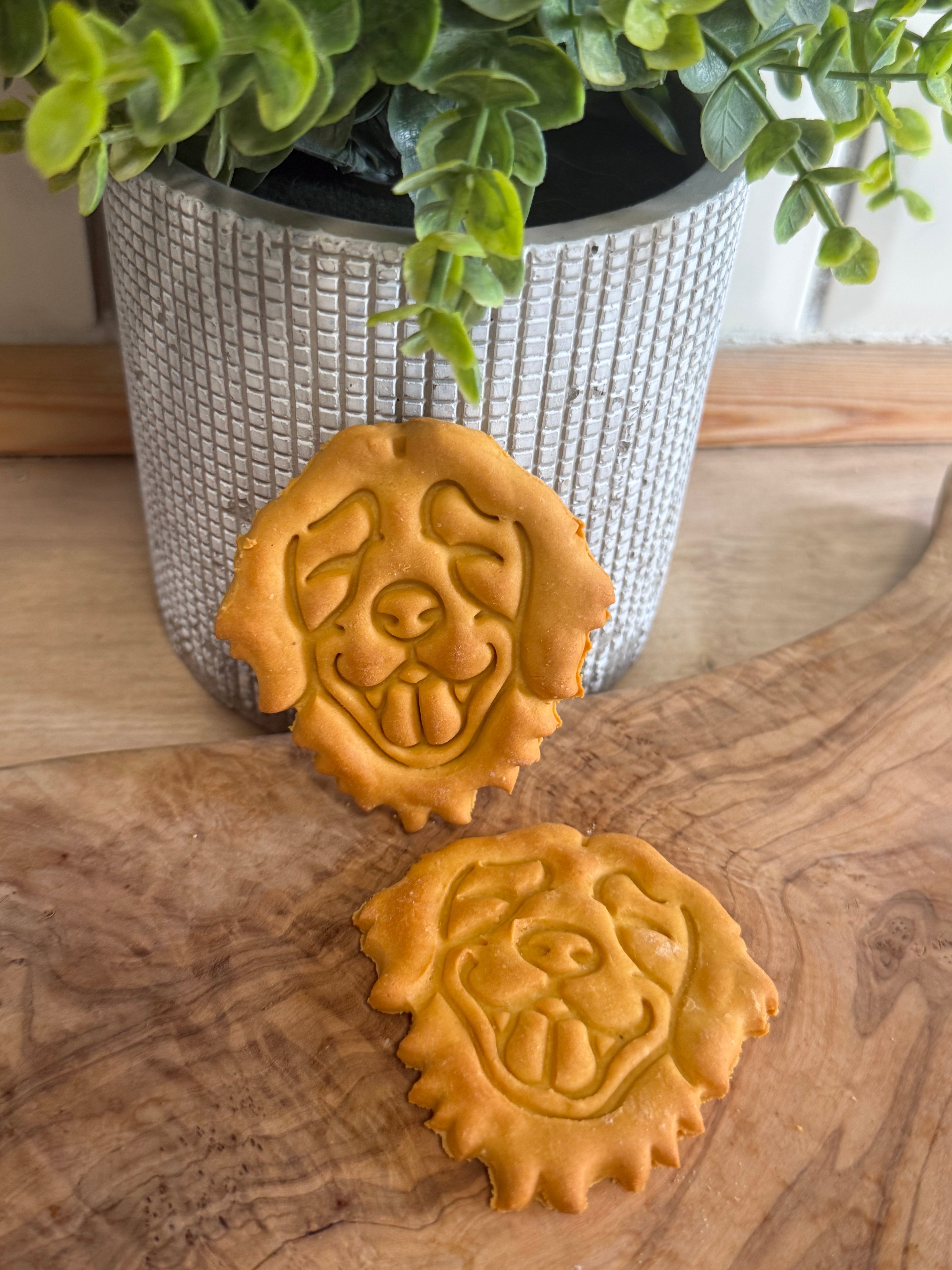 Golden retriever biscuits