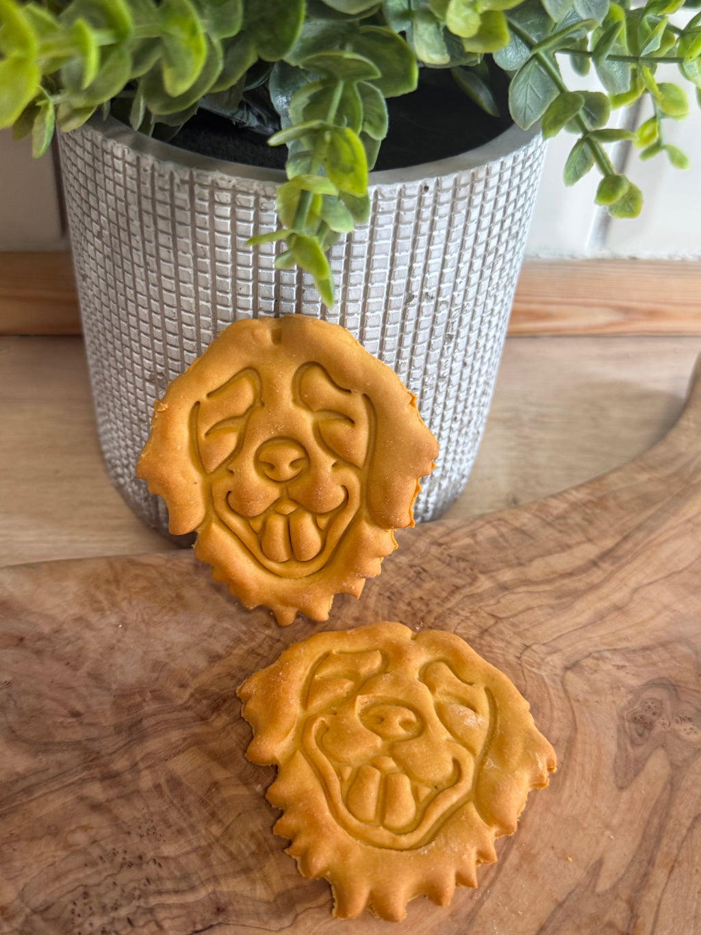 Golden retriever biscuits