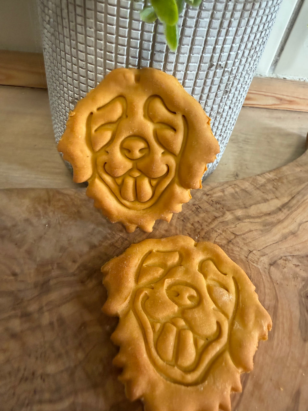 Golden retriever biscuits