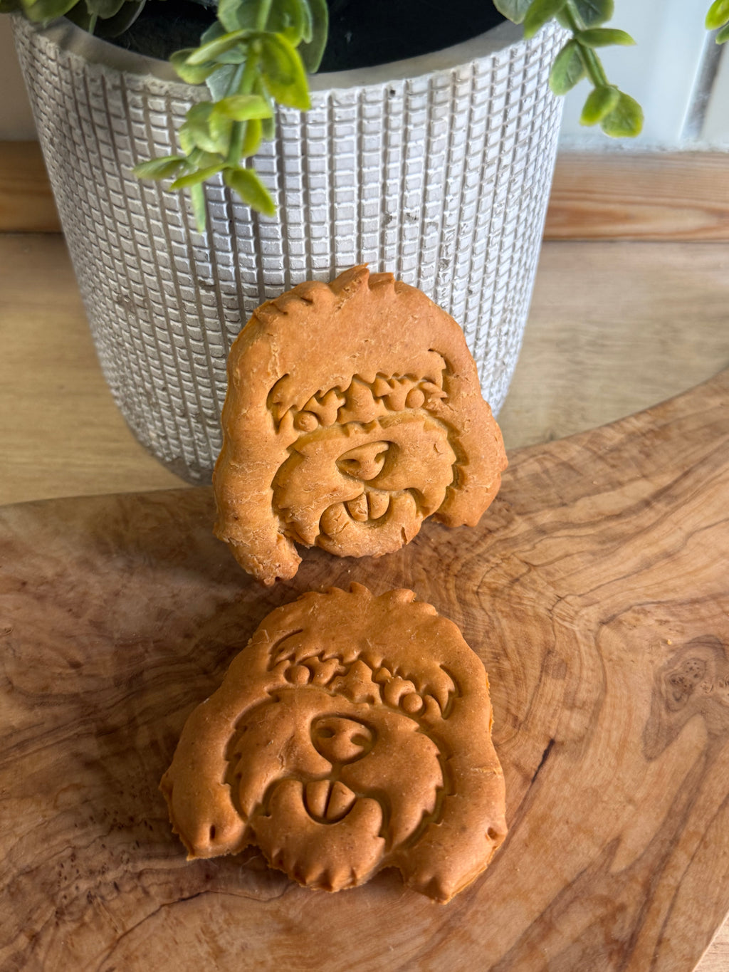 Peanut butter cockapoo biscuits
