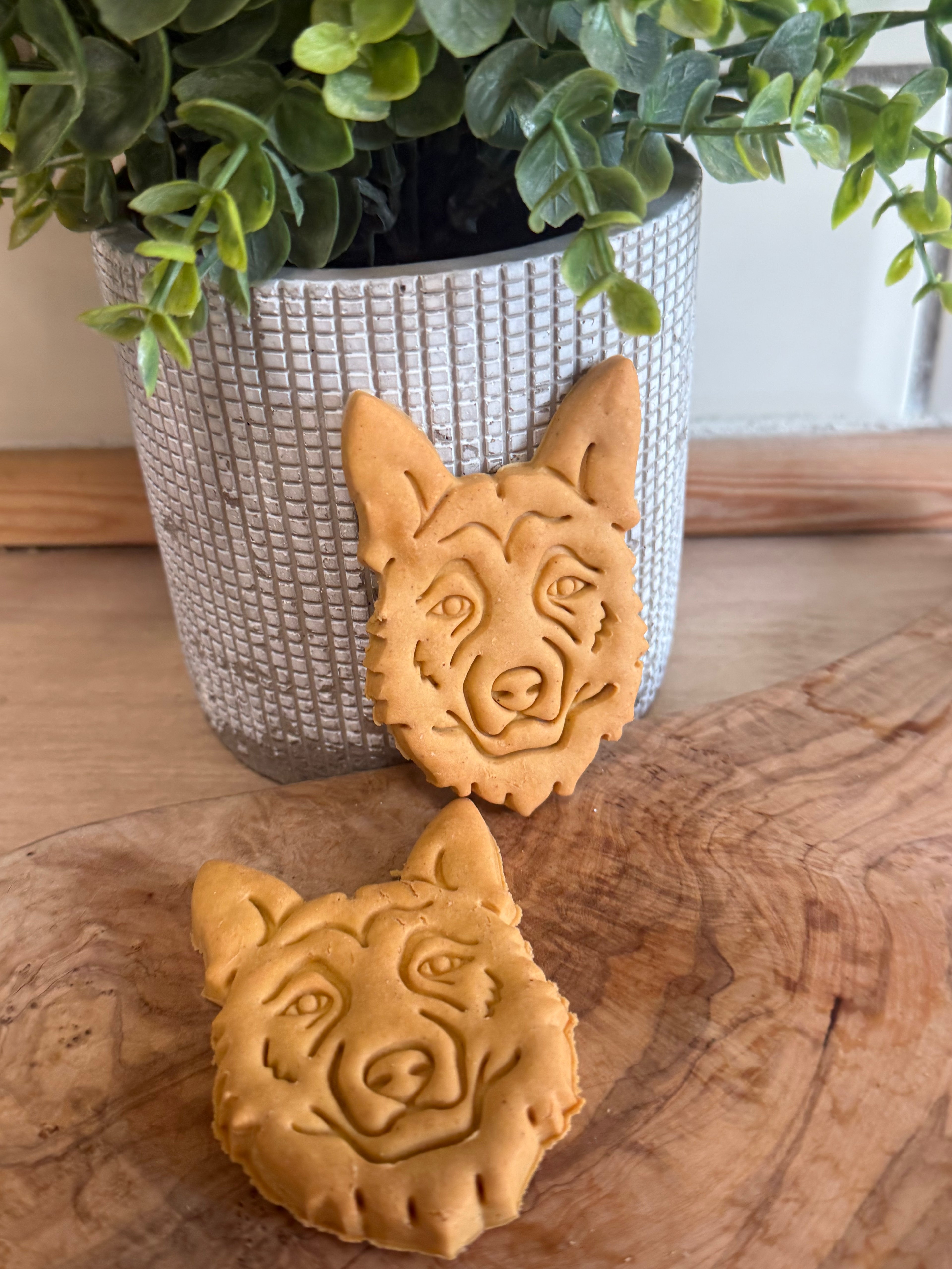 German shepherd x2 biscuits