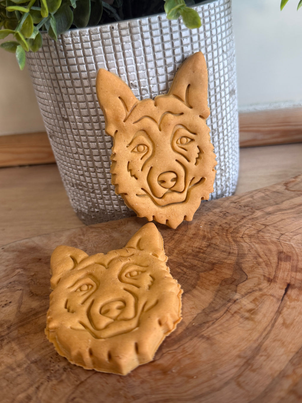 German shepherd x2 biscuits