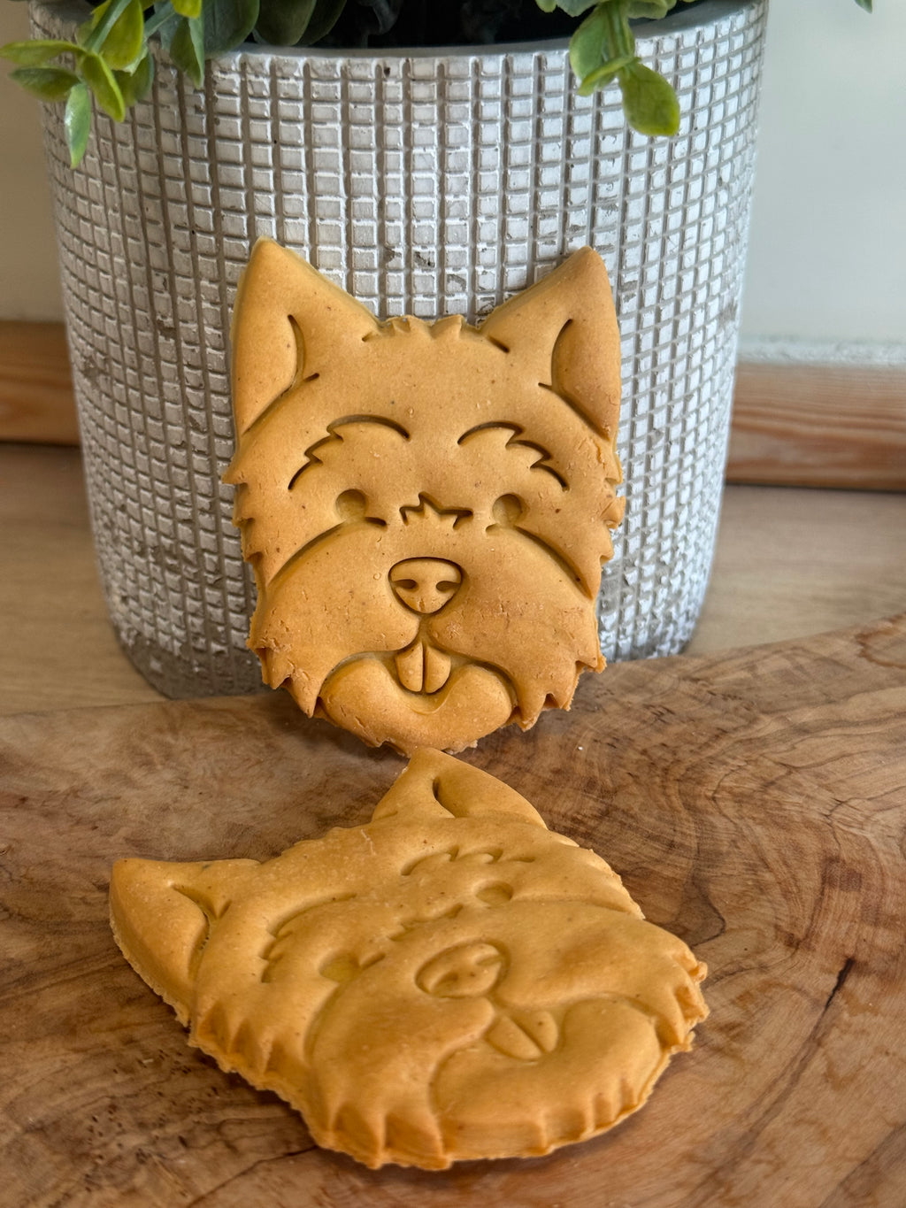 Westie biscuits x2