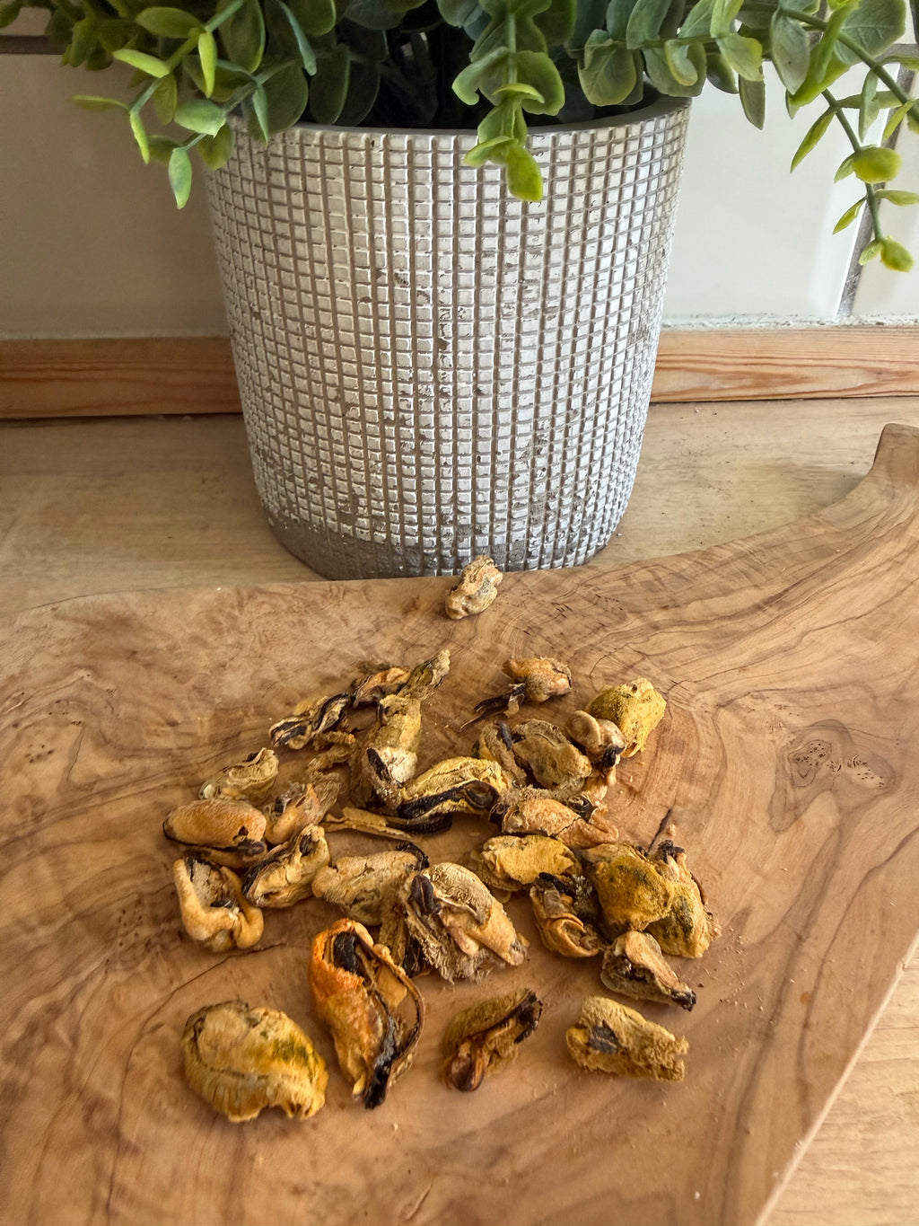Freeze dried mussels