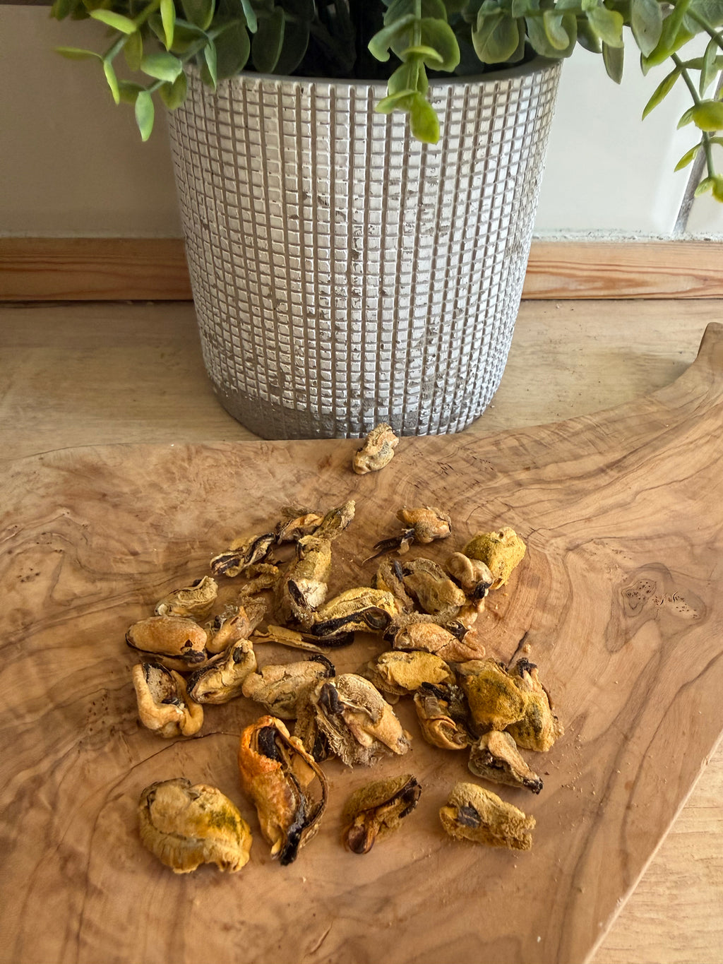 Freeze dried mussels