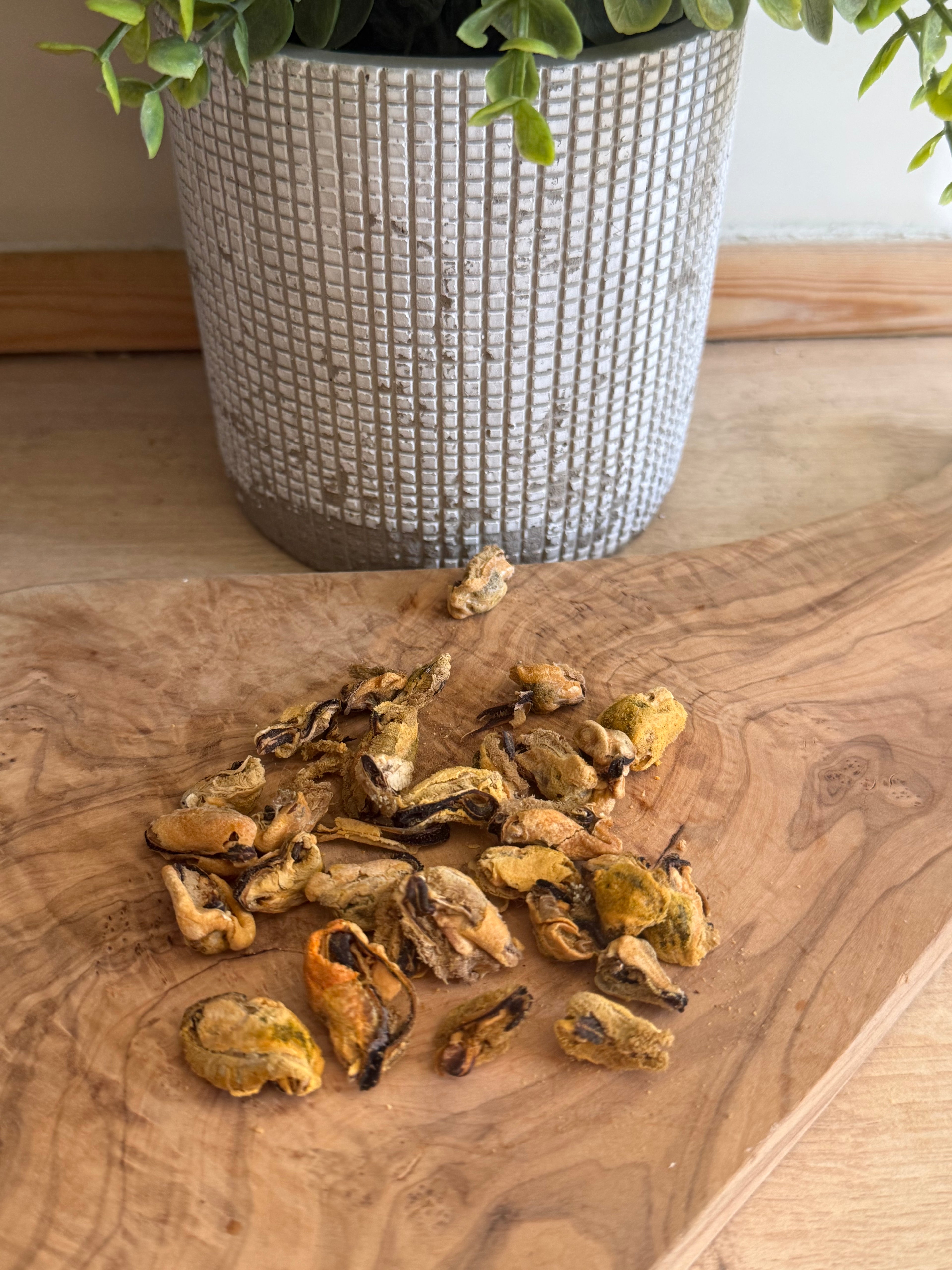Freeze dried mussels