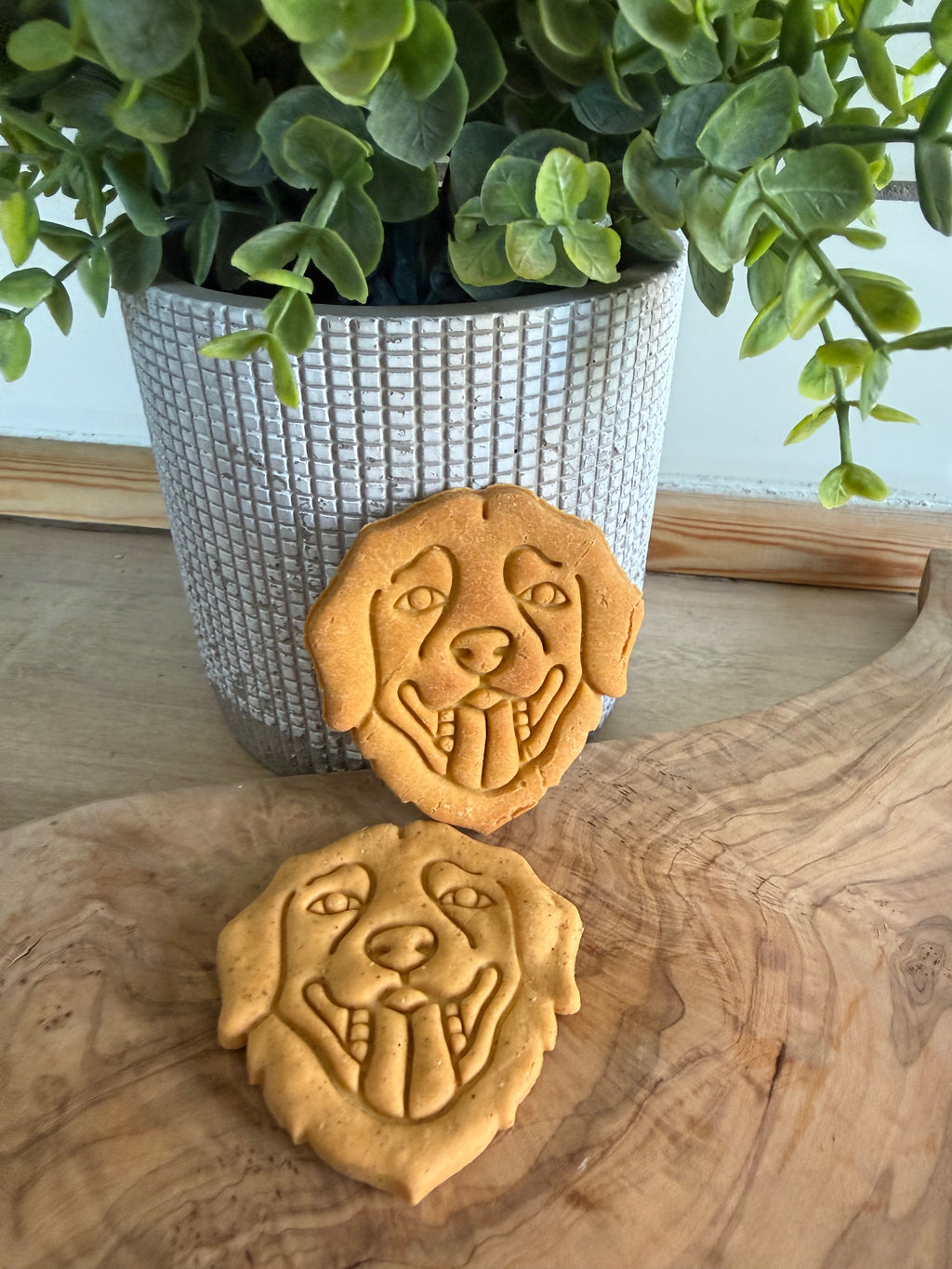 Labrador biscuits