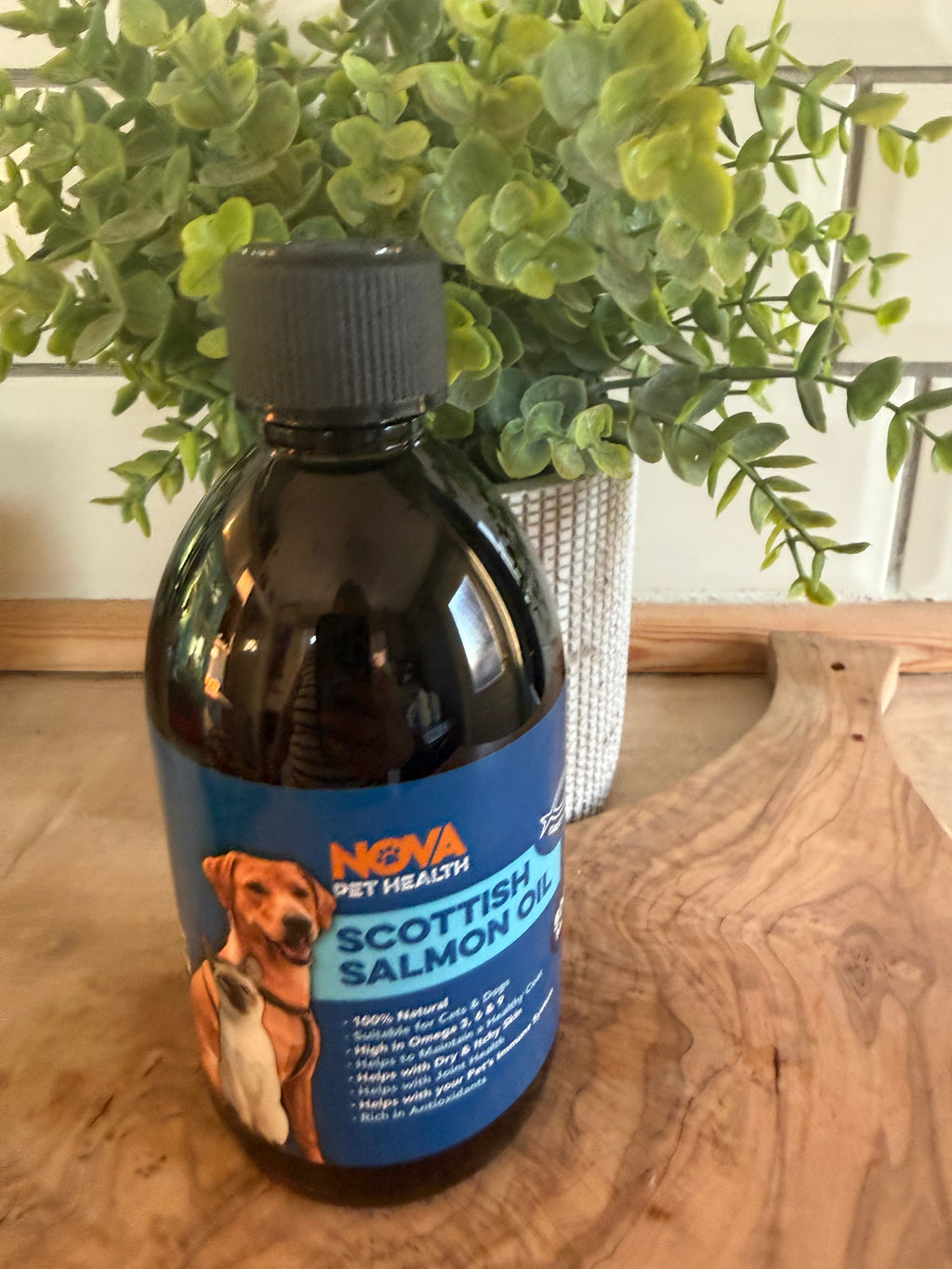Salmon oil
