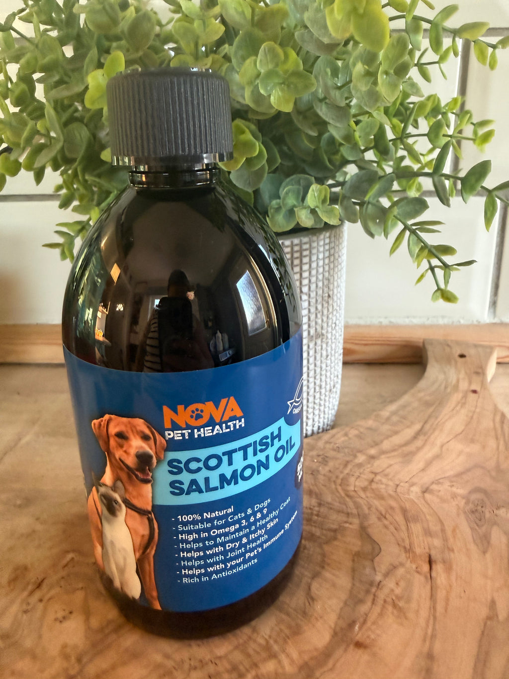 Salmon oil