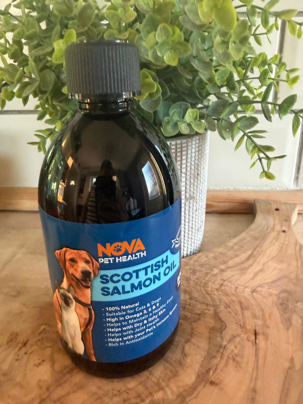 Salmon oil