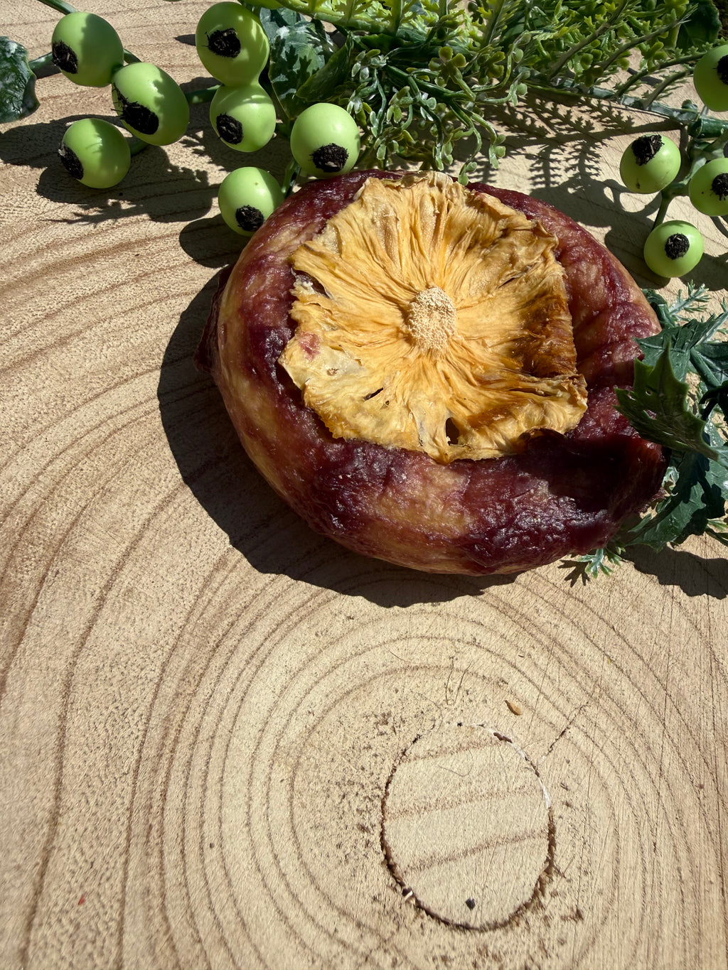 Beef and dried pineapple, collagen doughnut