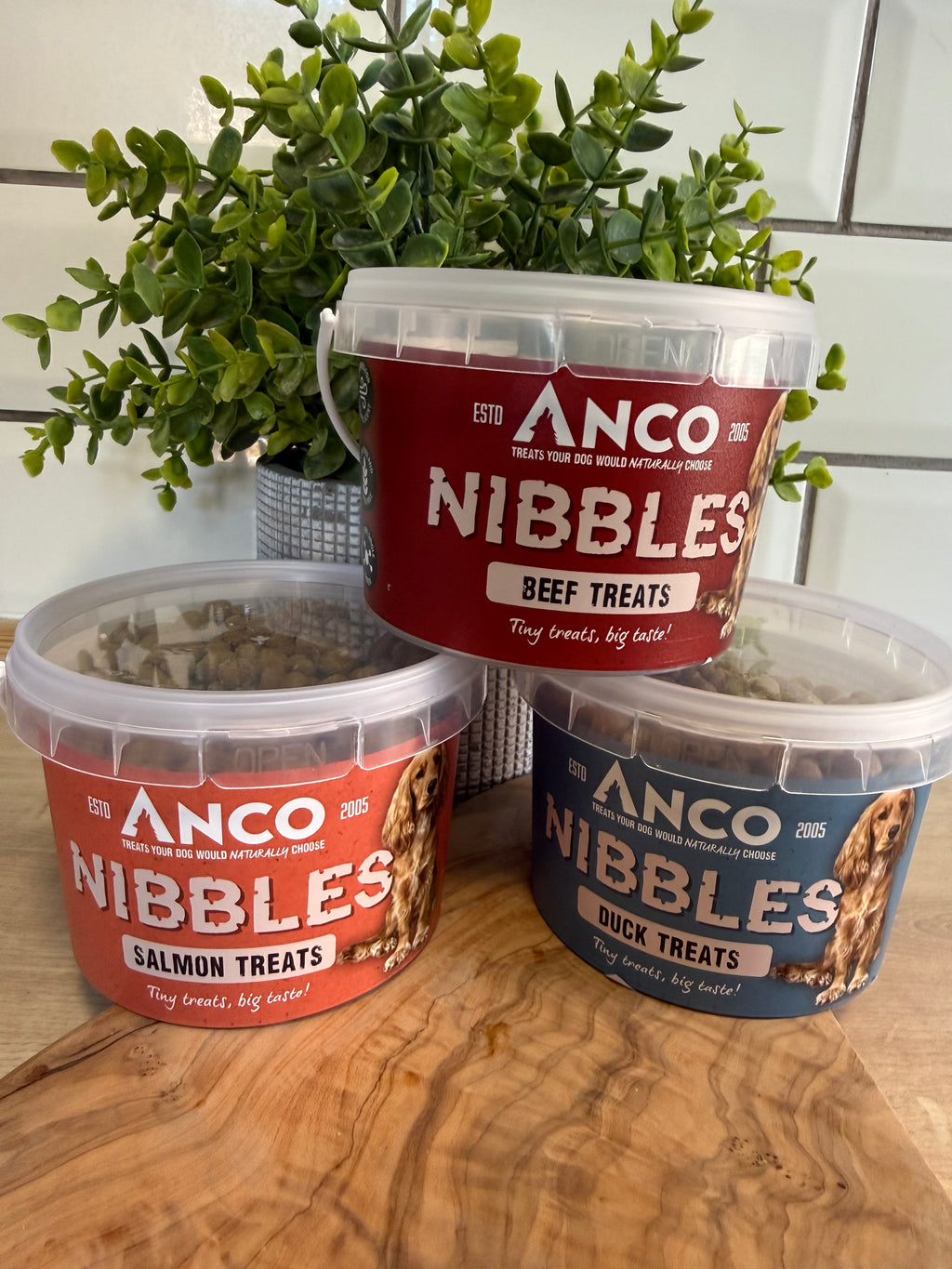 Anco nibbles