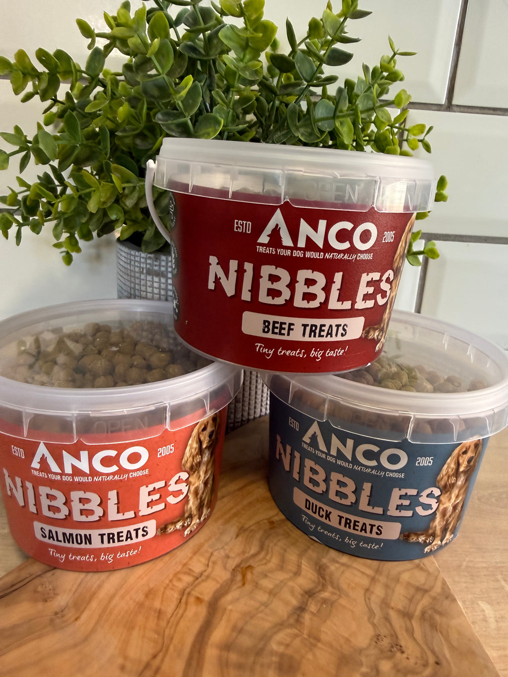 Anco nibbles