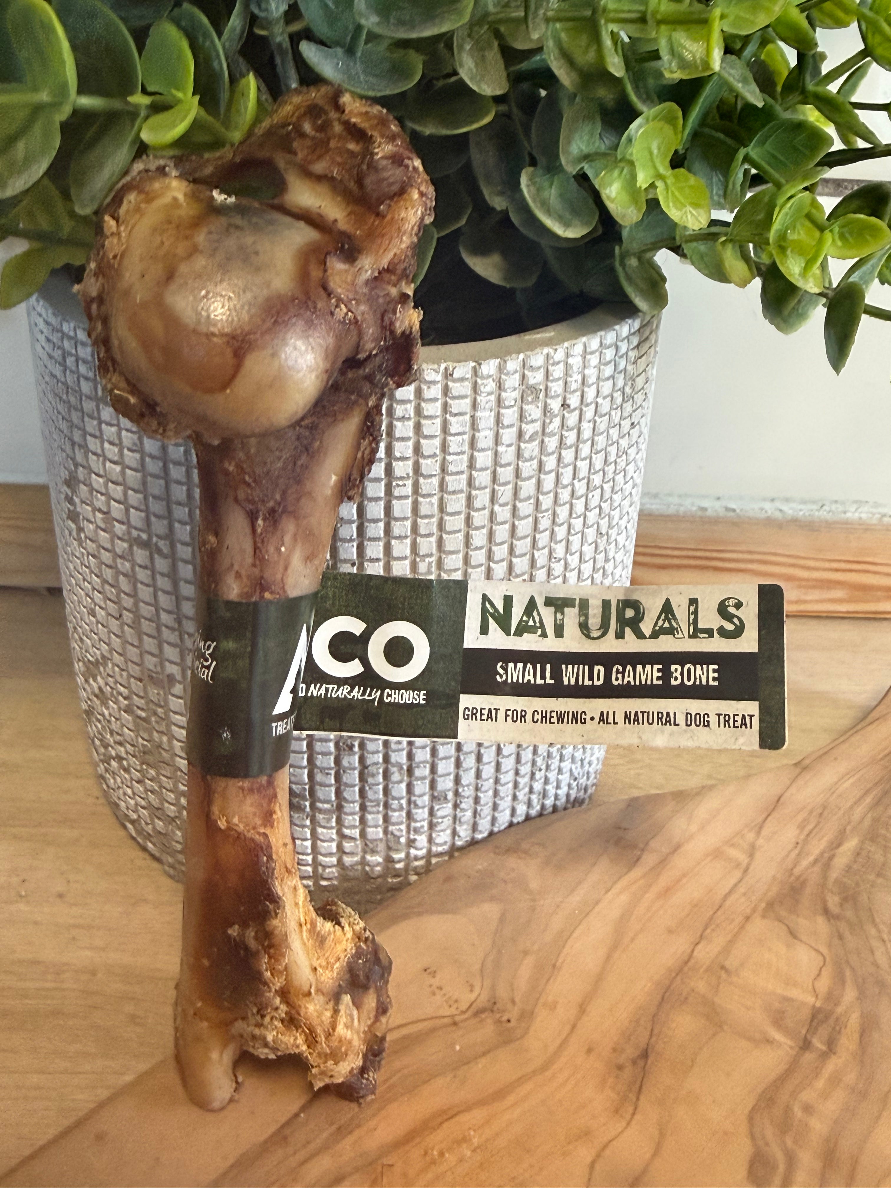 Small wild game bone