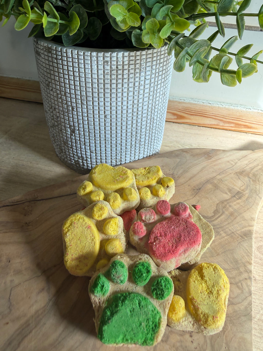 Paw shaped freeze dried chicken