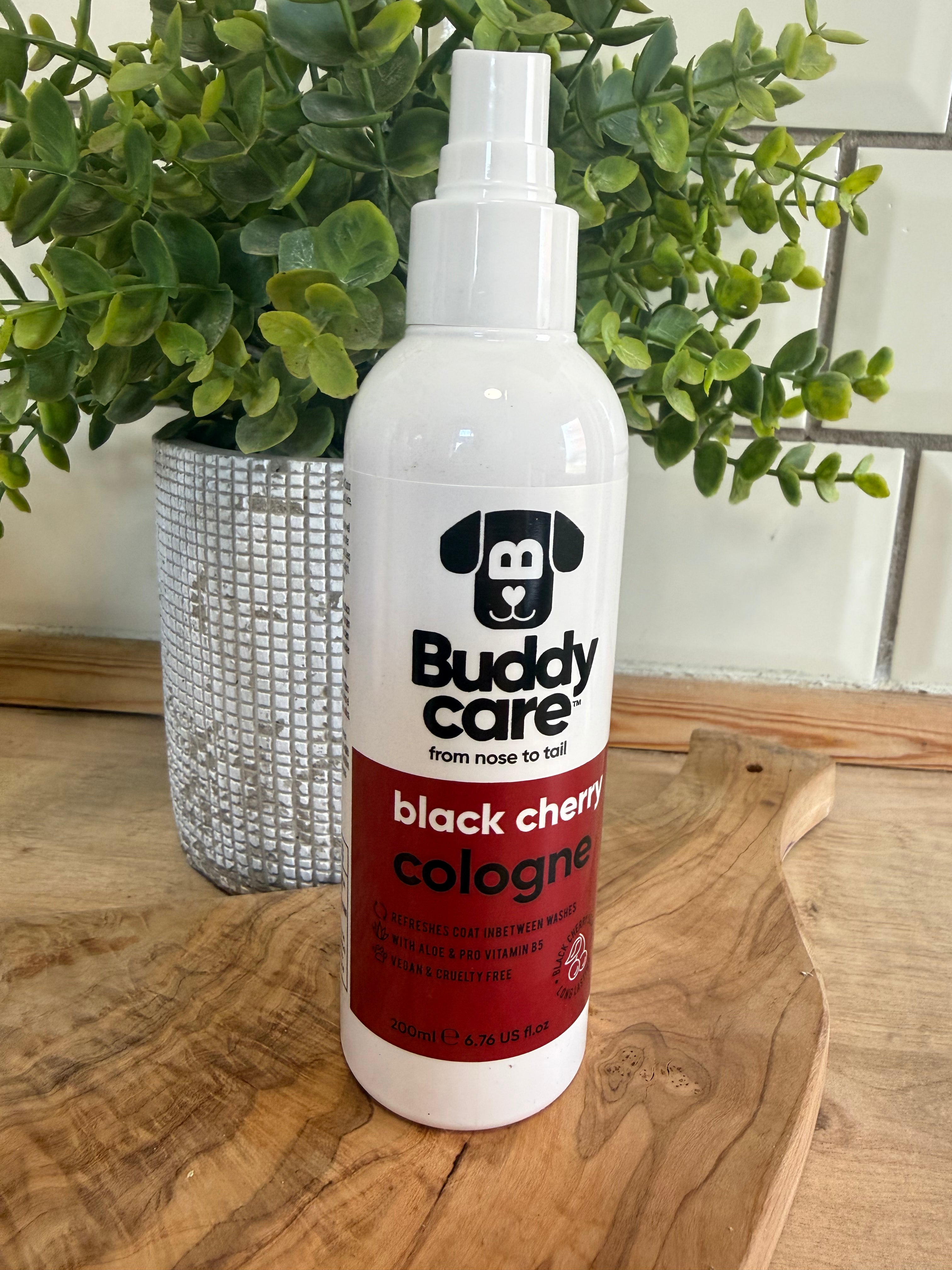 Black cherry cologne