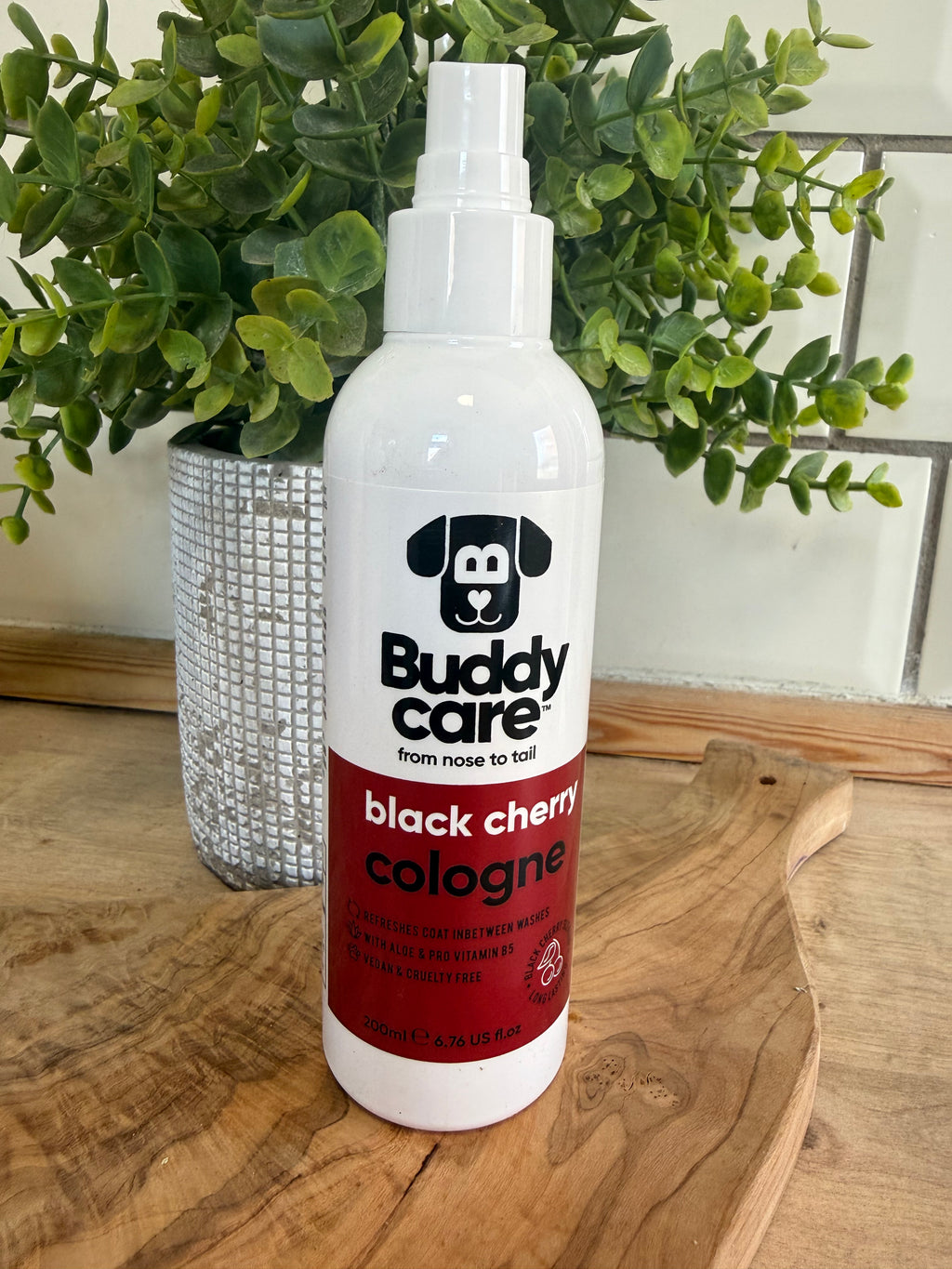 Black cherry cologne