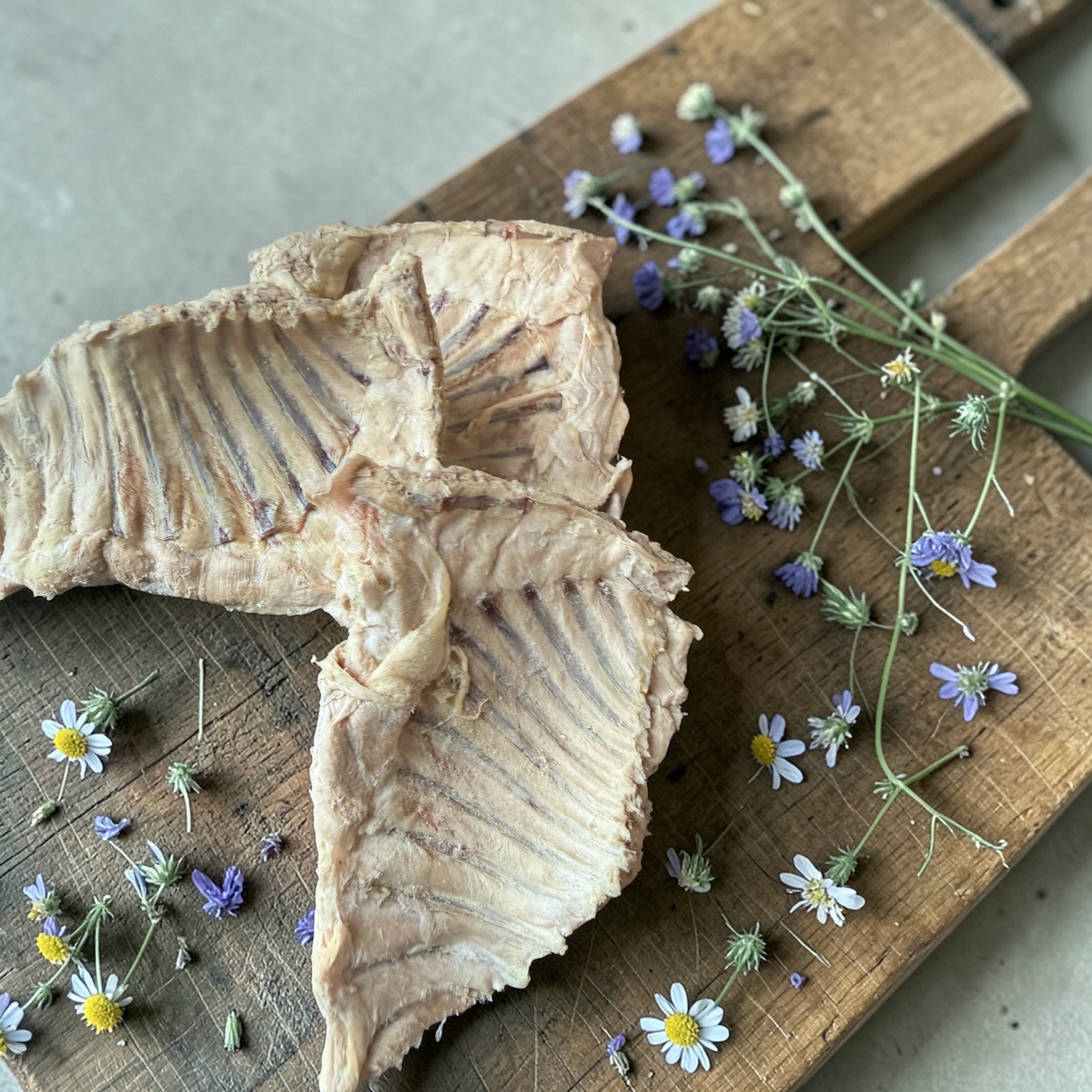 Freeze dried rabbit ribs