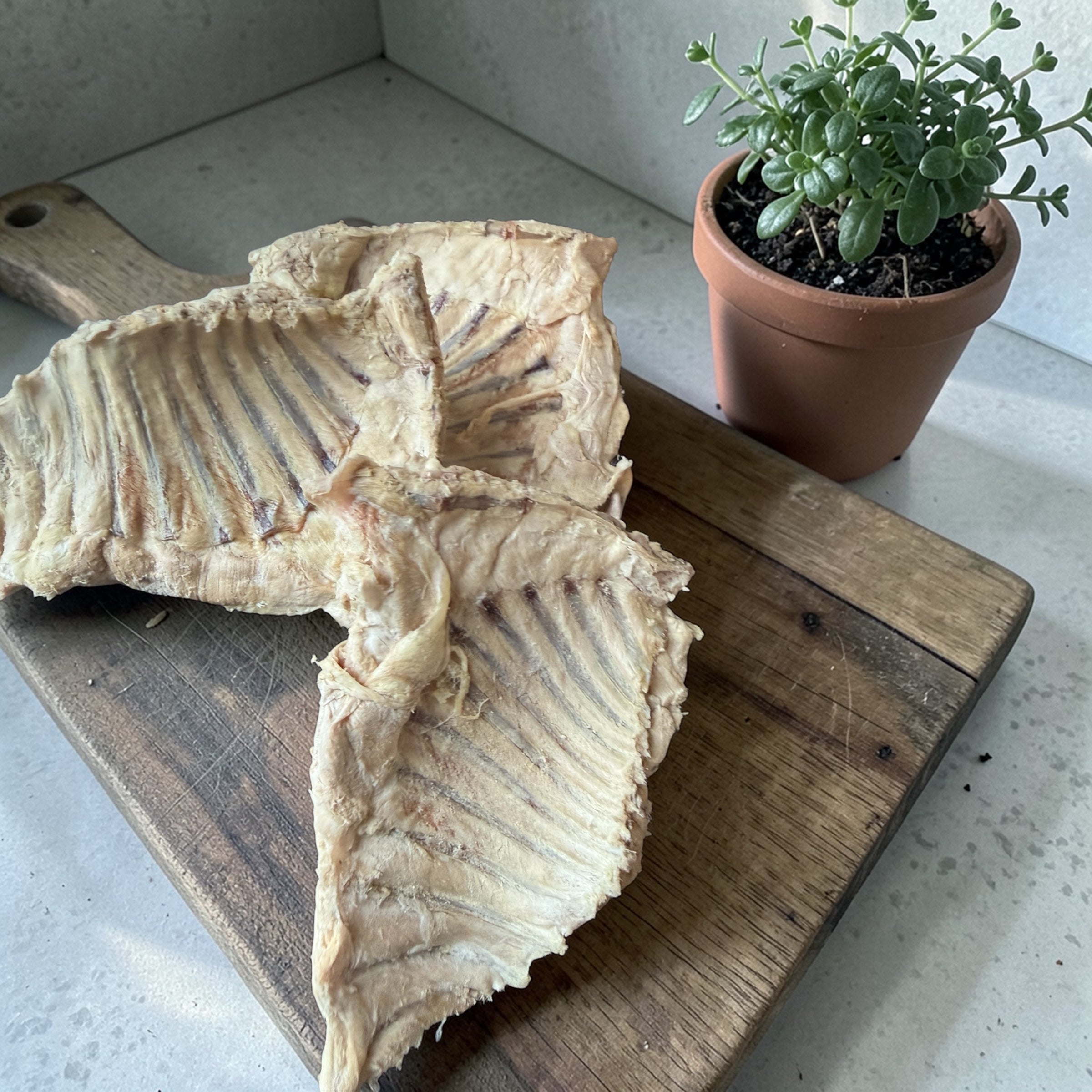 Freeze dried rabbit ribs