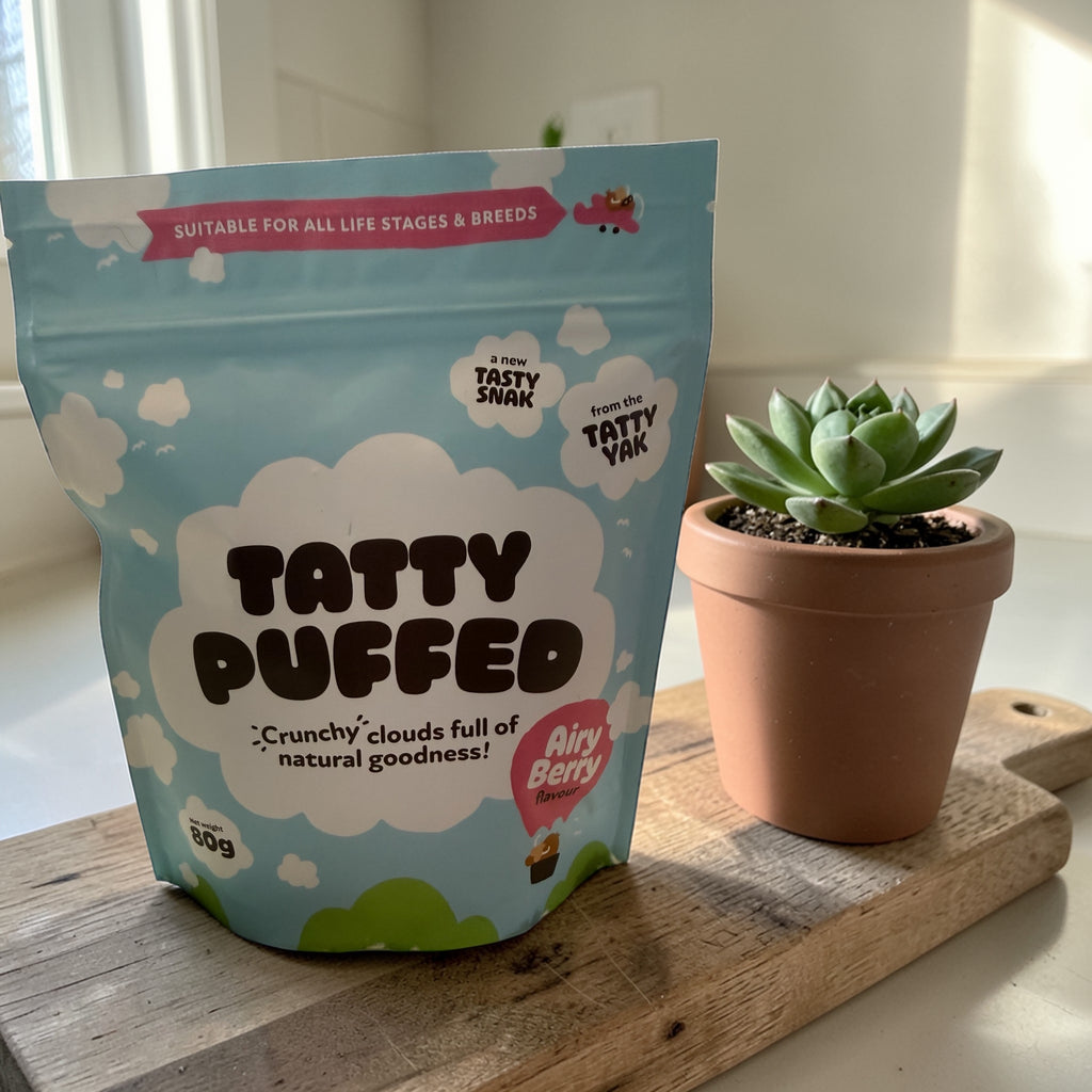 Tatty puffed yak