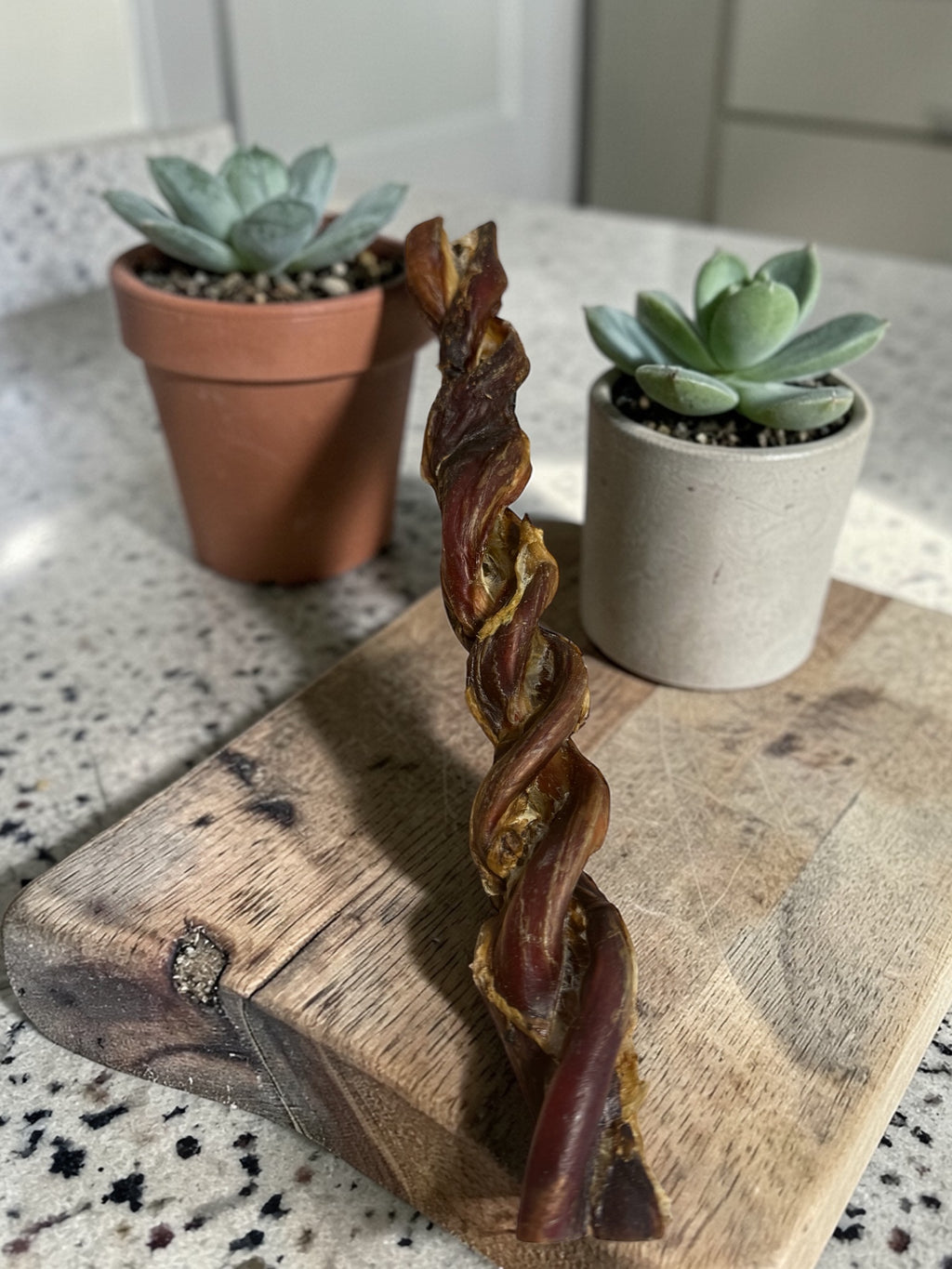 Twisted bully pizzle