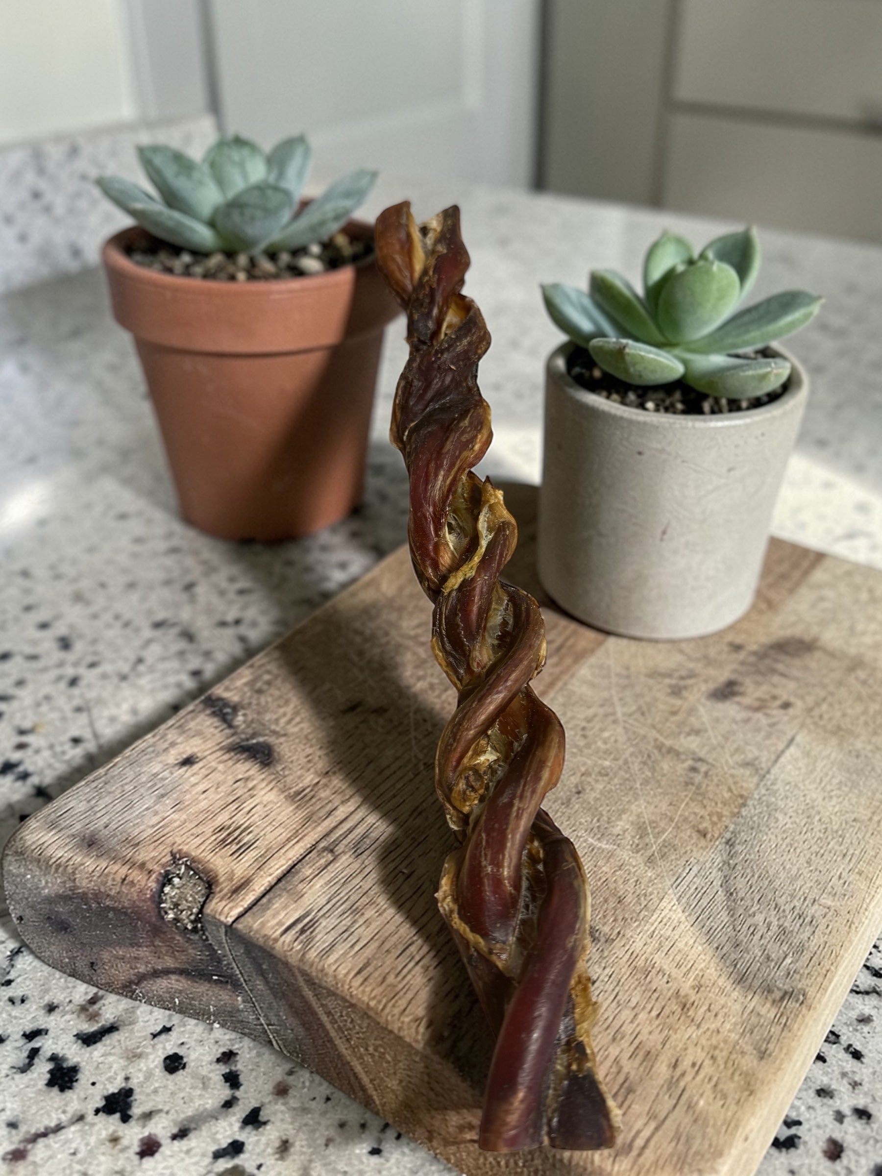 Twisted bully pizzle